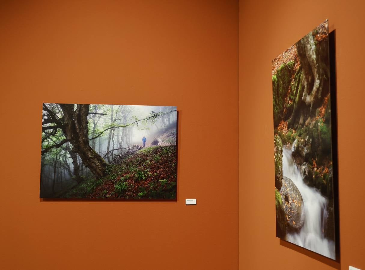 La Montaña Palentina, en 28 imágenes impactantes