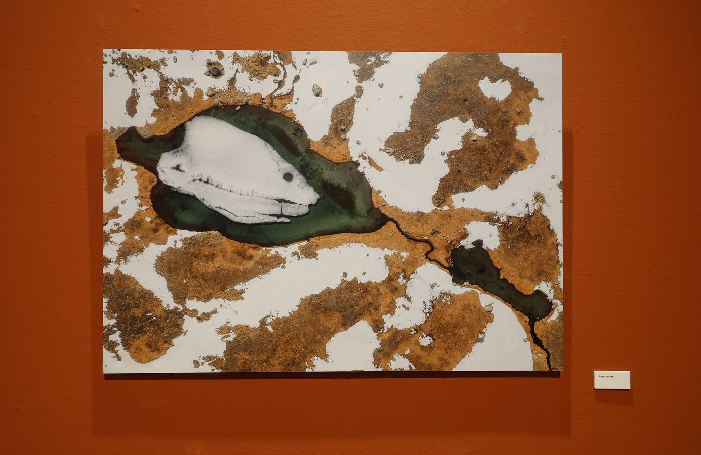 La Montaña Palentina, en 28 imágenes impactantes