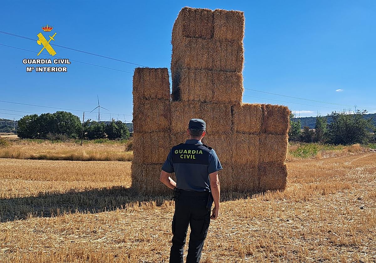 Investigado por robar 80 toneladas de paja valorada en 3.000 euros en Paredes de Nava