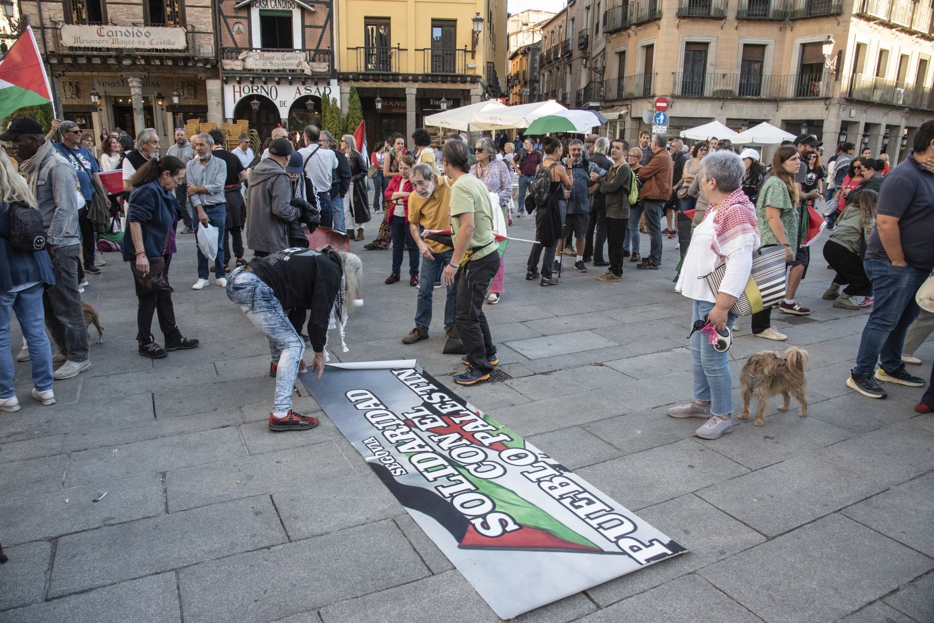 Las manifestaciones en Segovia por Gaza, en imágenes