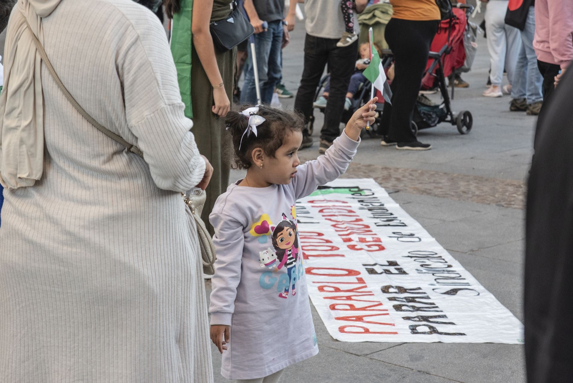 Las manifestaciones en Segovia por Gaza, en imágenes