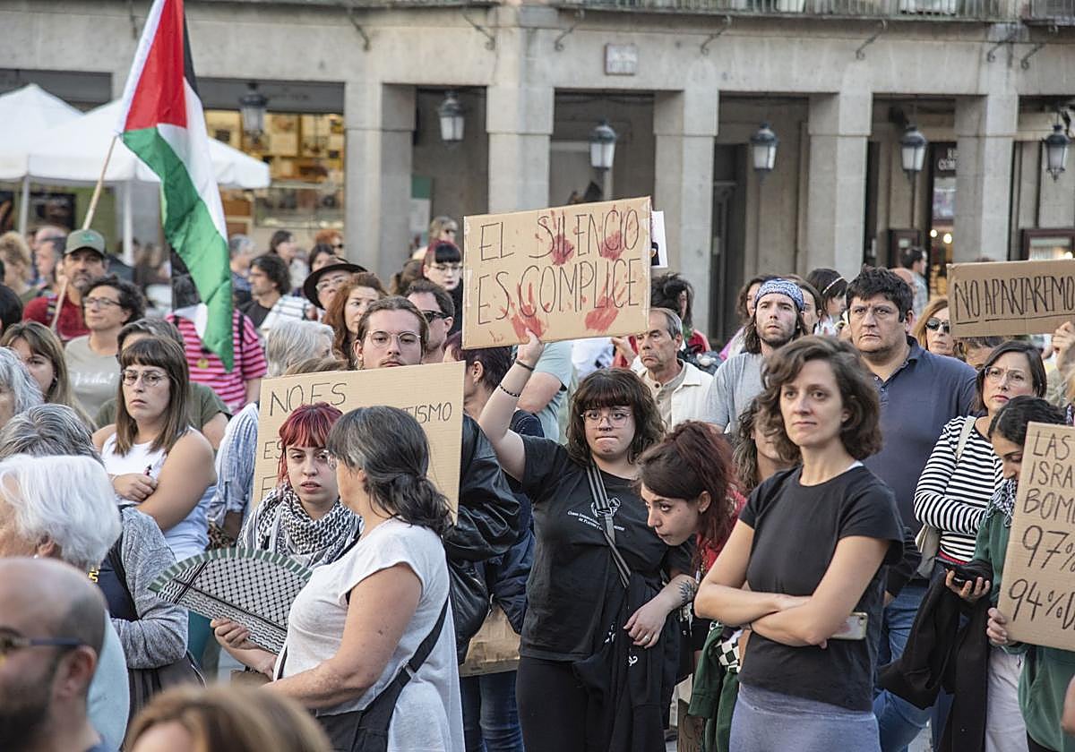 Las manifestaciones en Segovia por Gaza, en imágenes