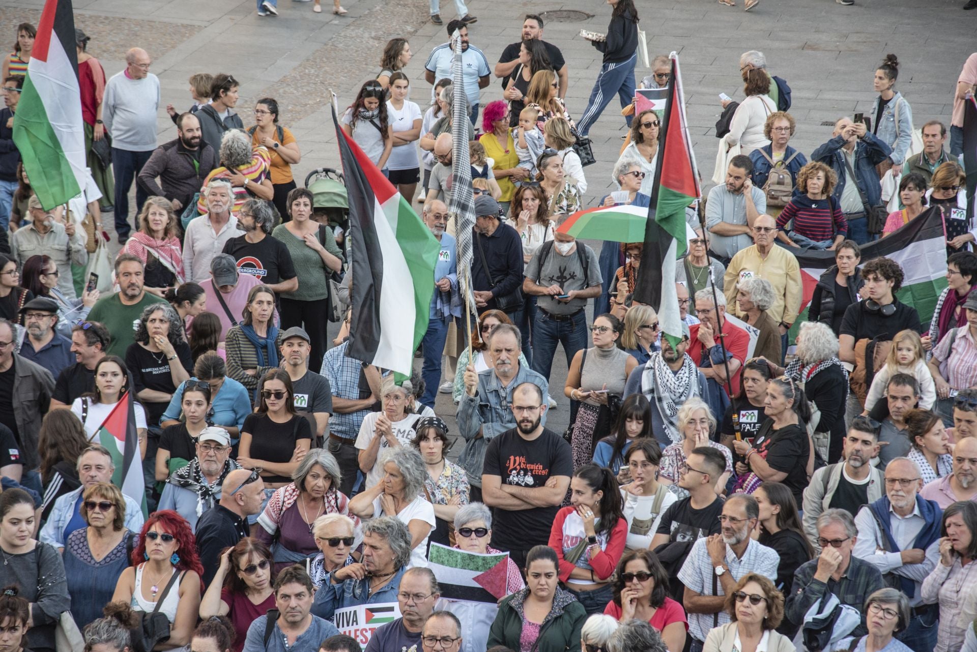 Las manifestaciones en Segovia por Gaza, en imágenes