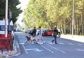 Un olor nauseabundo invade este viernes Valladolid: «Es insufrible»
