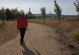 Un hombre pasea por el parque El Tomillo, donde han robado las maderas de los bancos.