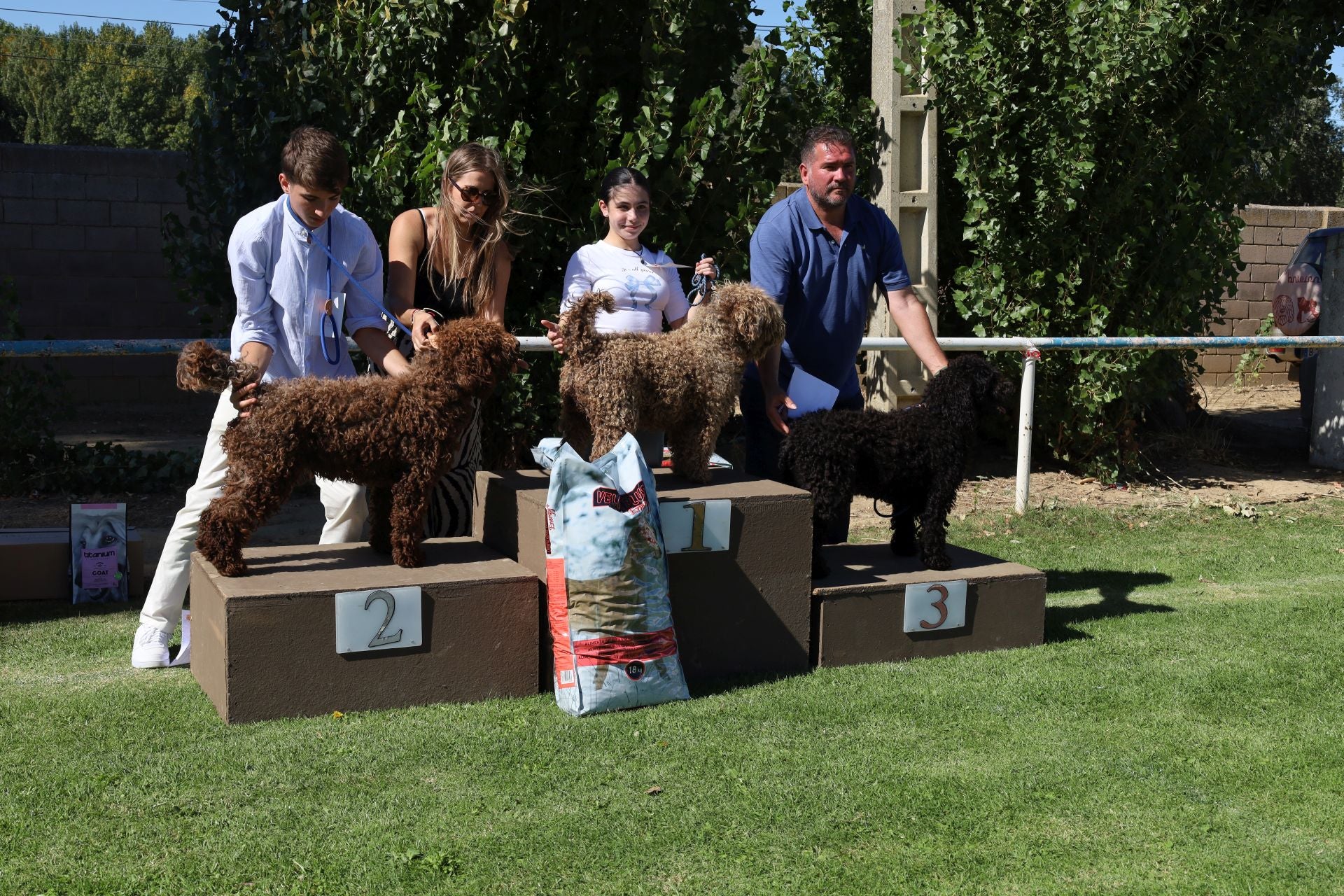 Concurso de mastines y perros de agua en Monzón de Campos