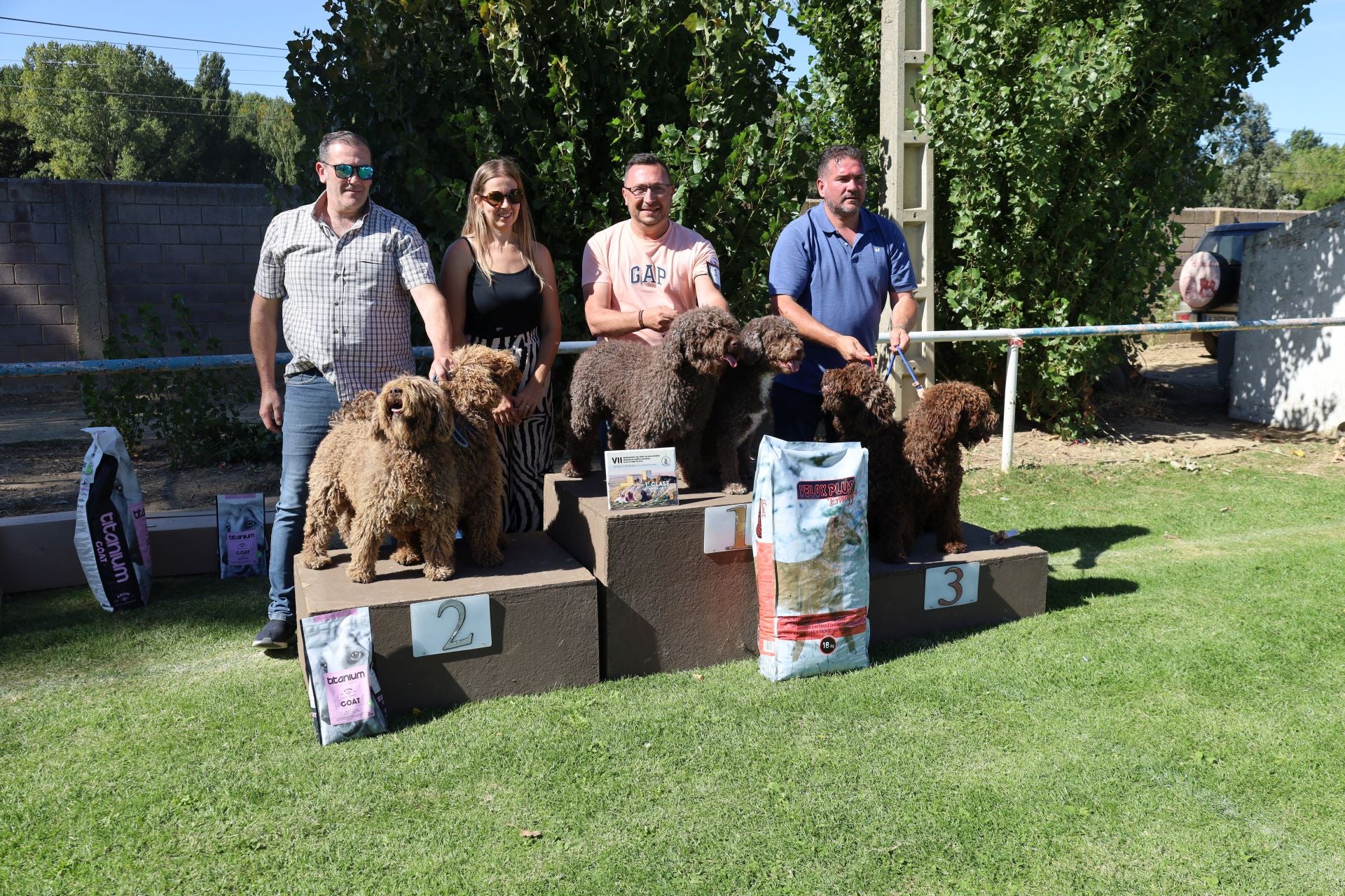 Concurso de mastines y perros de agua en Monzón de Campos
