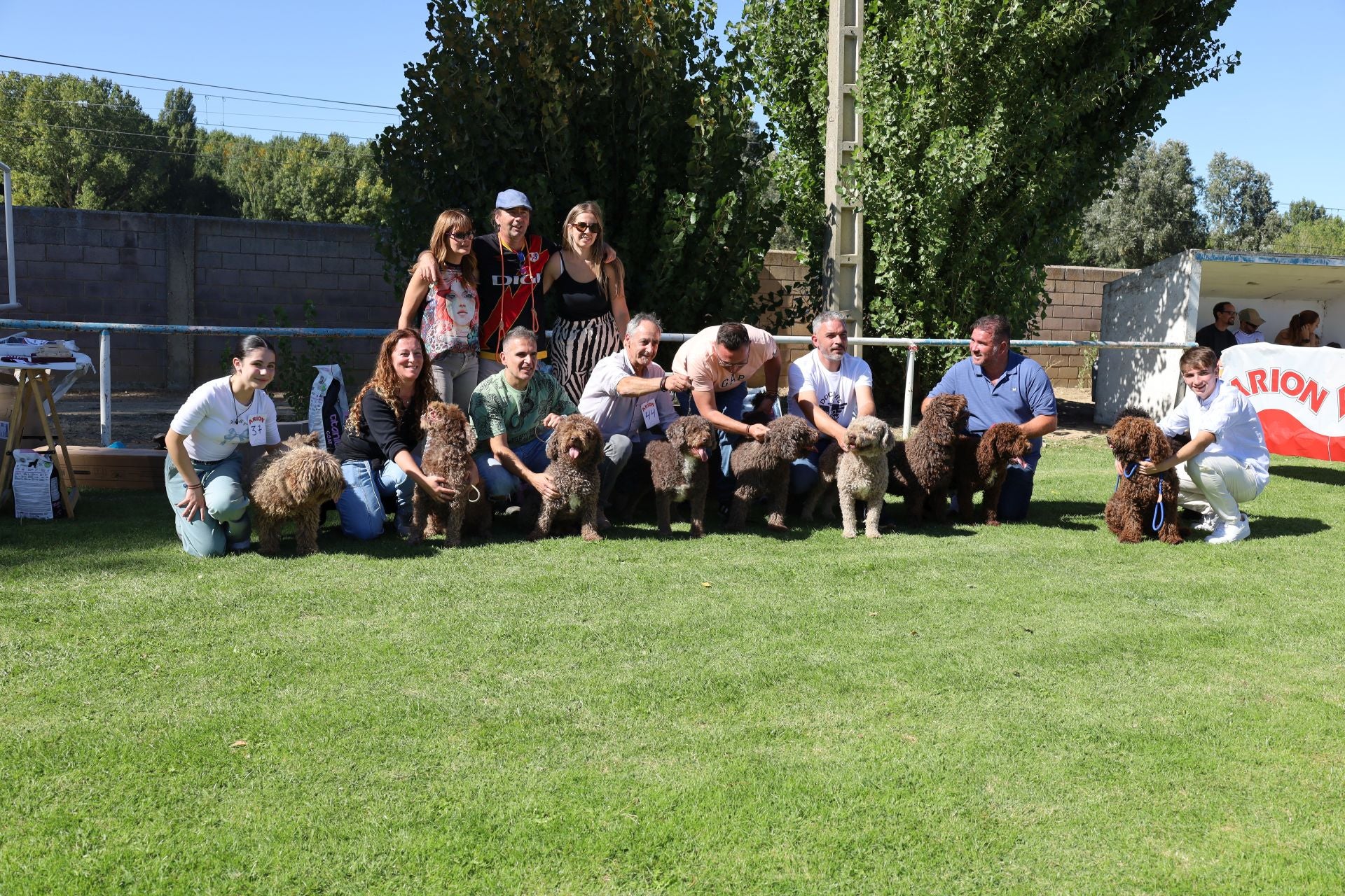 Concurso de mastines y perros de agua en Monzón de Campos