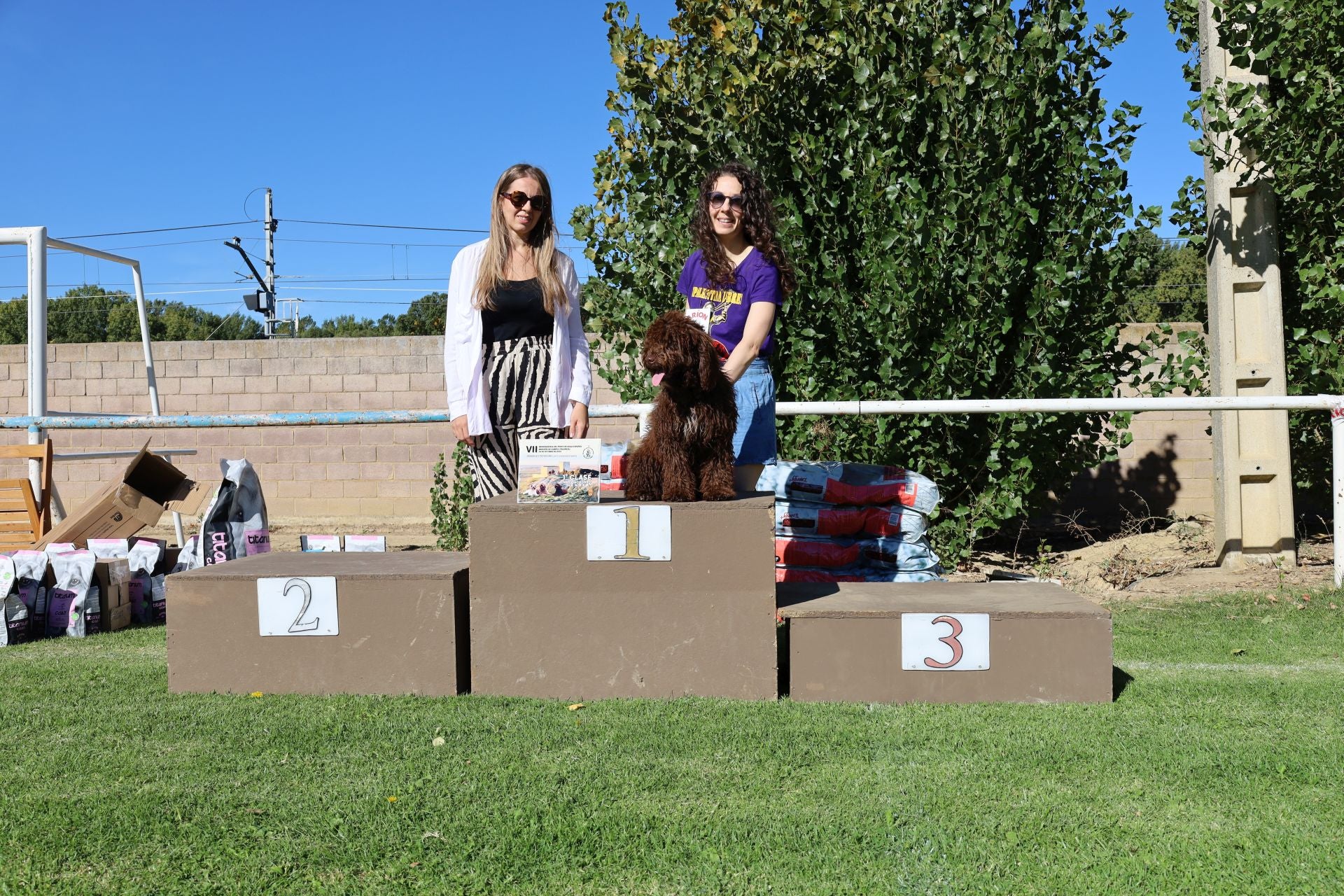 Concurso de mastines y perros de agua en Monzón de Campos