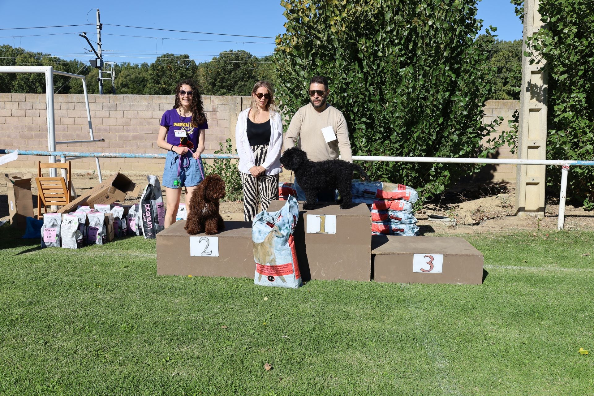 Concurso de mastines y perros de agua en Monzón de Campos