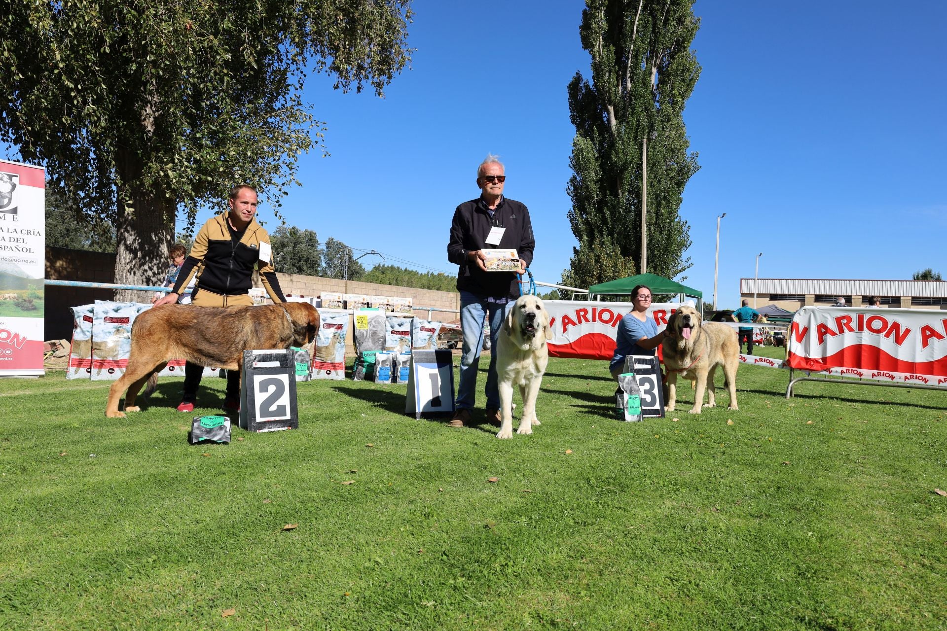 Concurso de mastines y perros de agua en Monzón de Campos