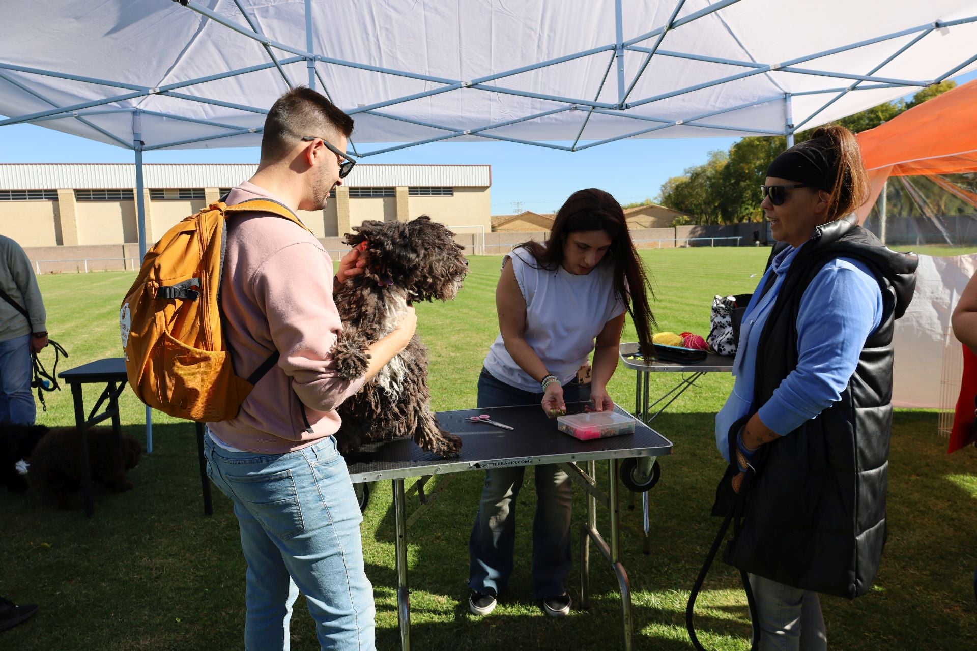 Concurso de mastines y perros de agua en Monzón de Campos