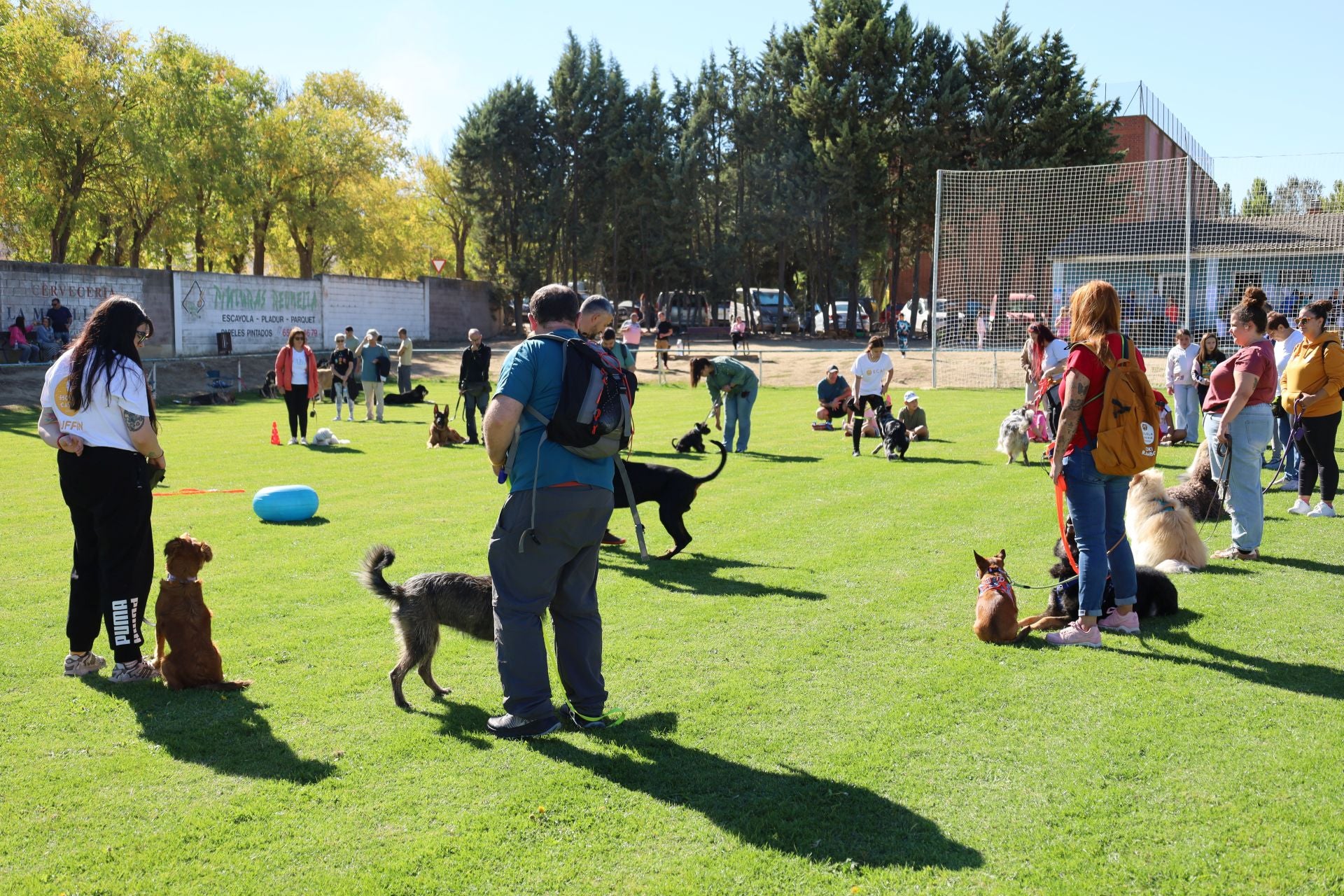 Concurso de mastines y perros de agua en Monzón de Campos