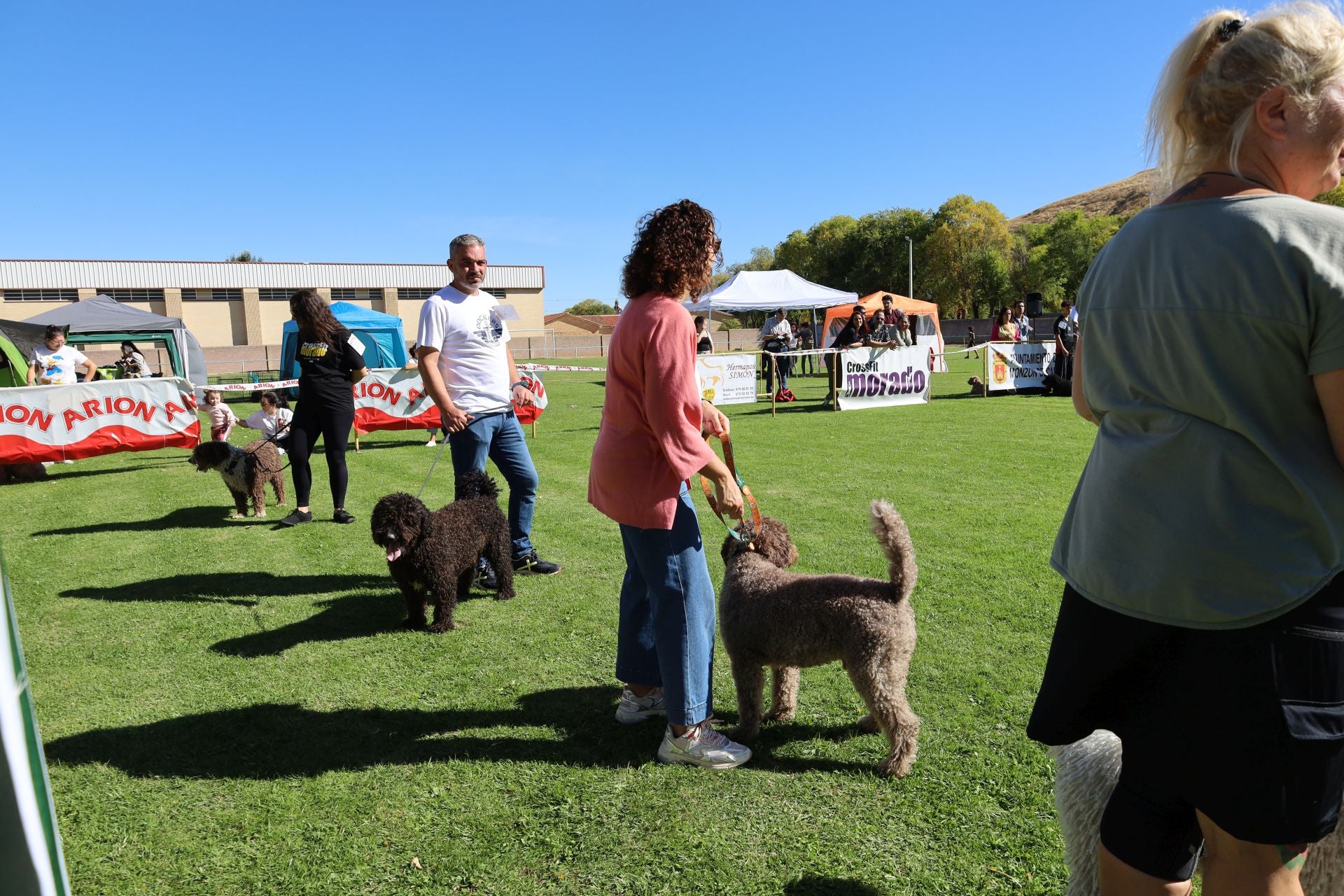 Concurso de mastines y perros de agua en Monzón de Campos