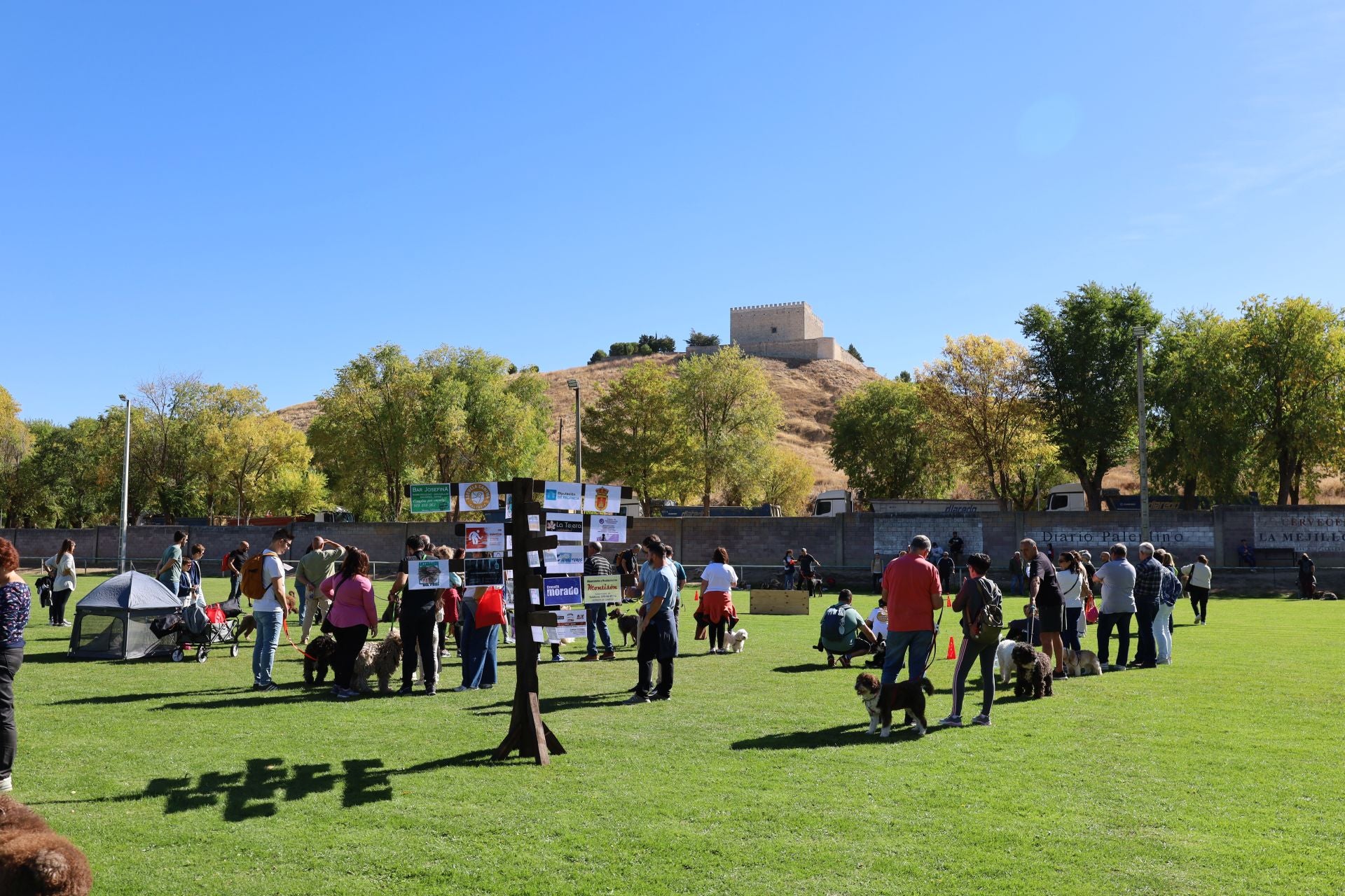 Concurso de mastines y perros de agua en Monzón de Campos