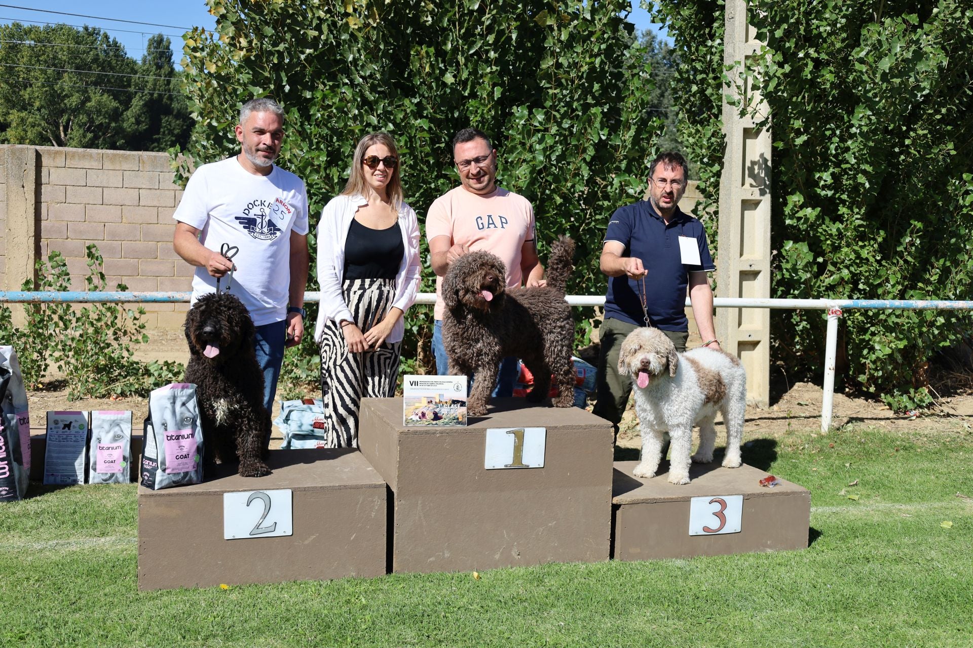 Concurso de mastines y perros de agua en Monzón de Campos