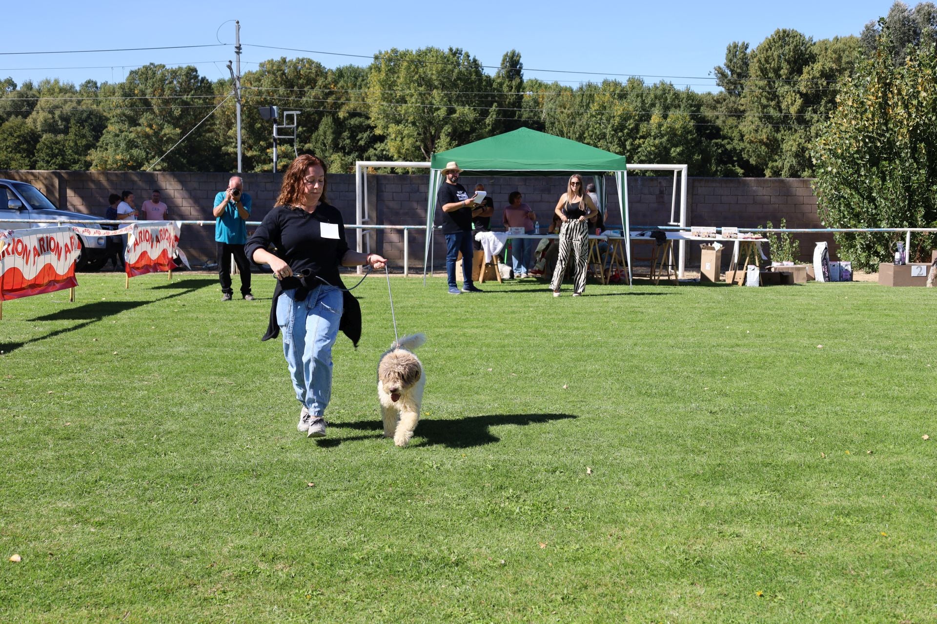 Concurso de mastines y perros de agua en Monzón de Campos