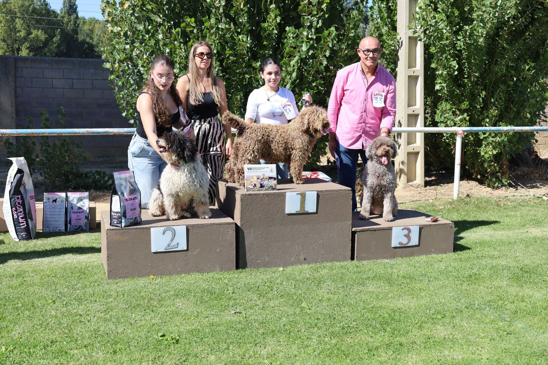 Concurso de mastines y perros de agua en Monzón de Campos