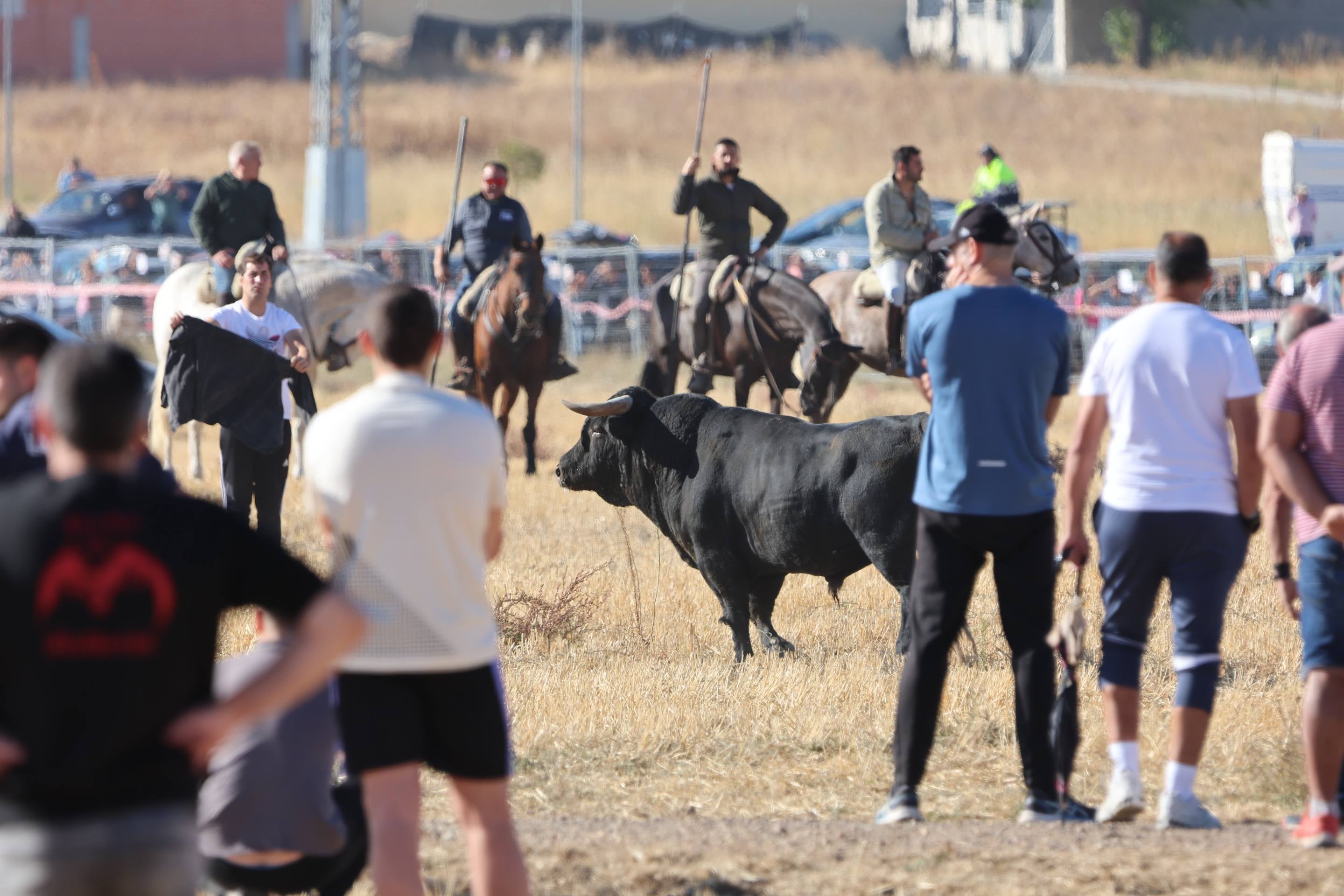 El encierro mixto en Mojados, en imágenes