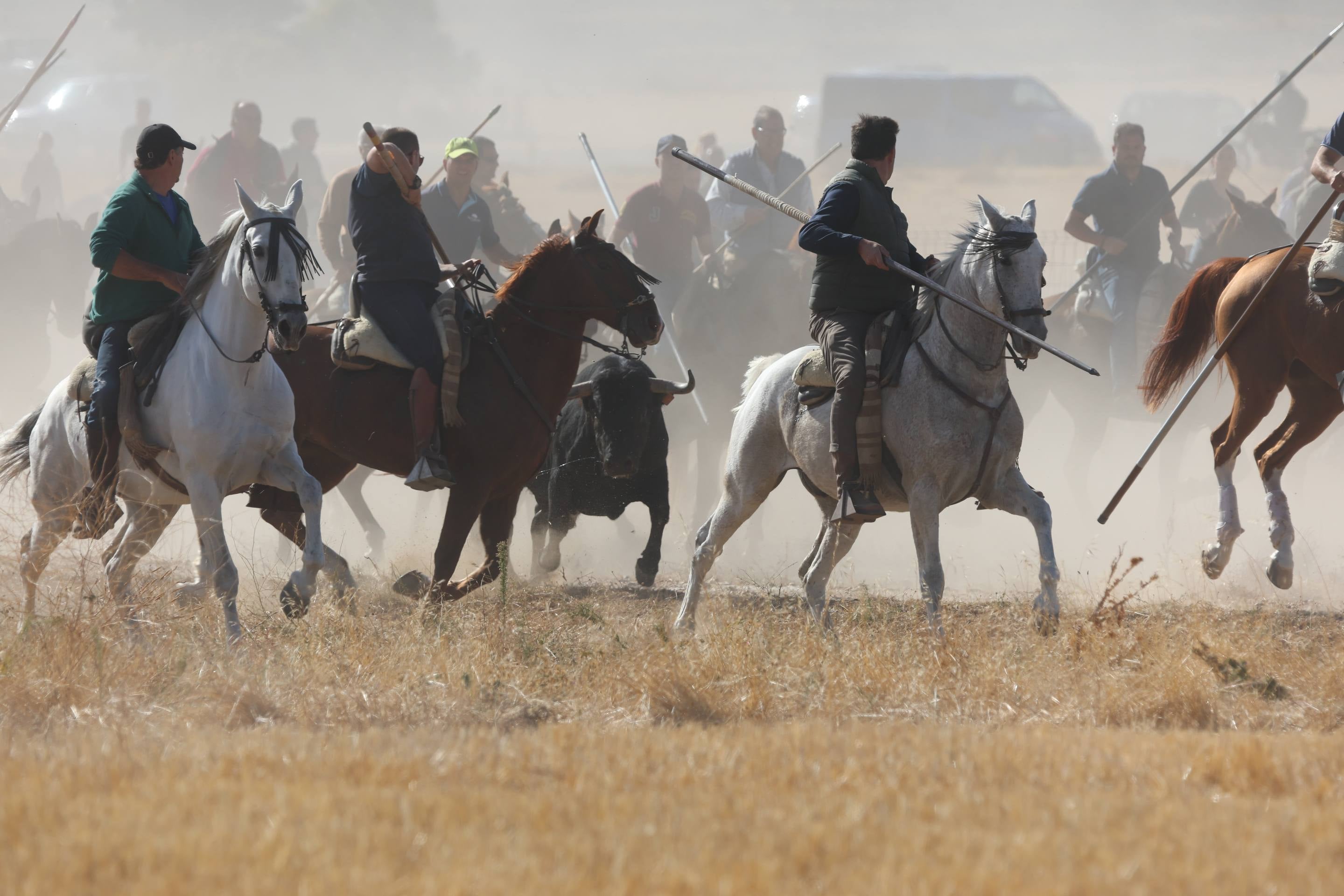 El encierro mixto en Mojados, en imágenes
