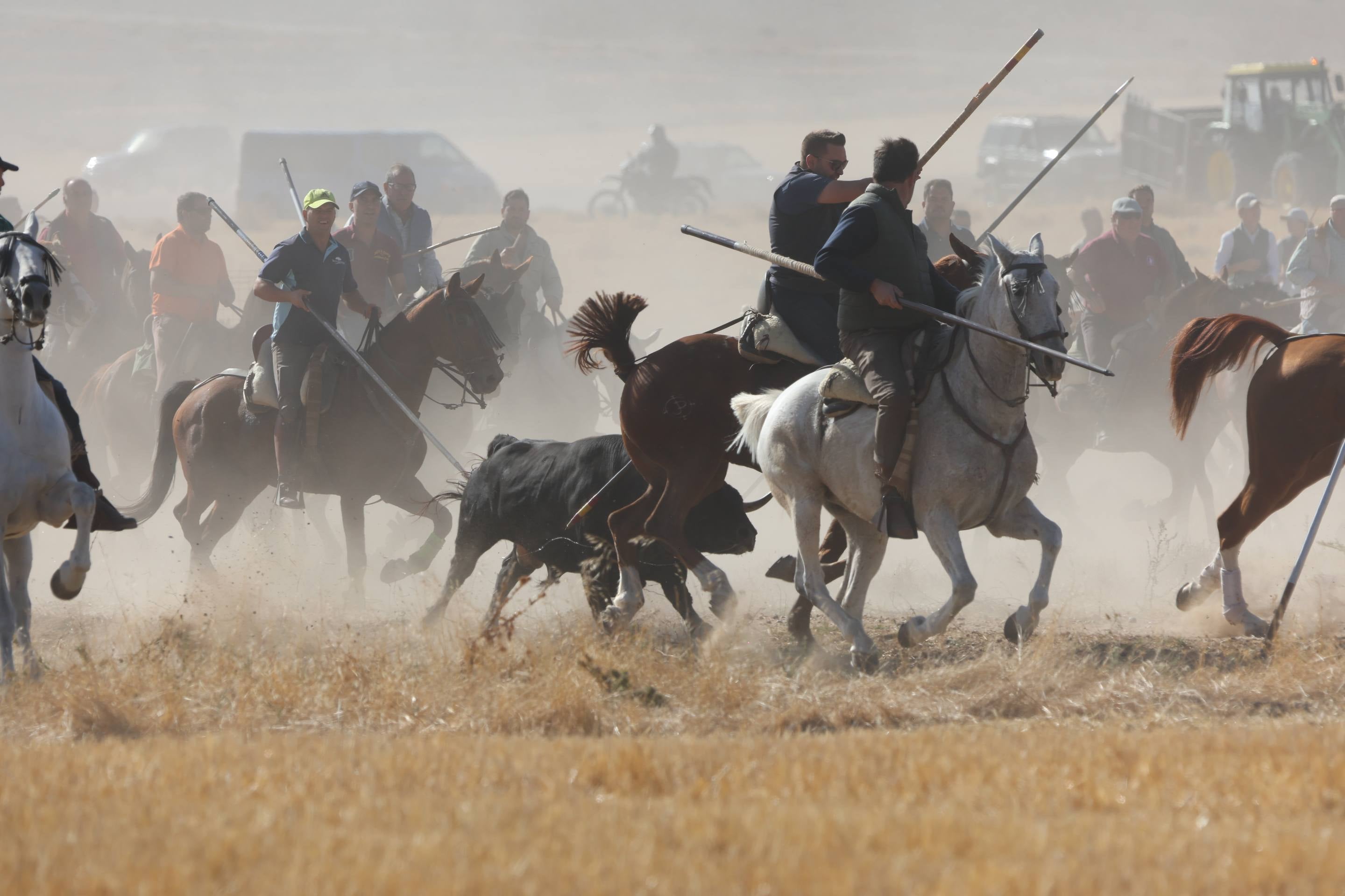 El encierro mixto en Mojados, en imágenes