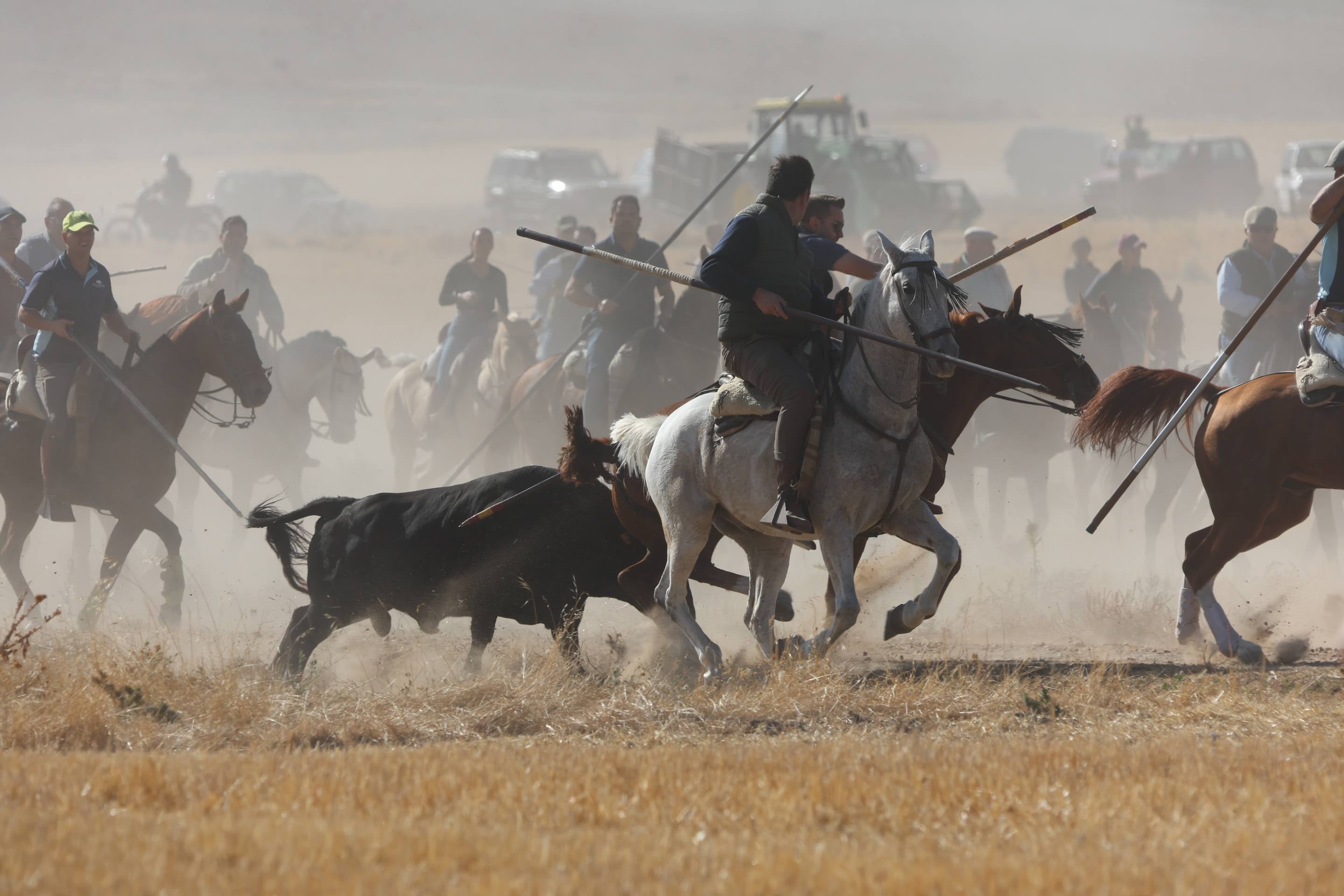El encierro mixto en Mojados, en imágenes