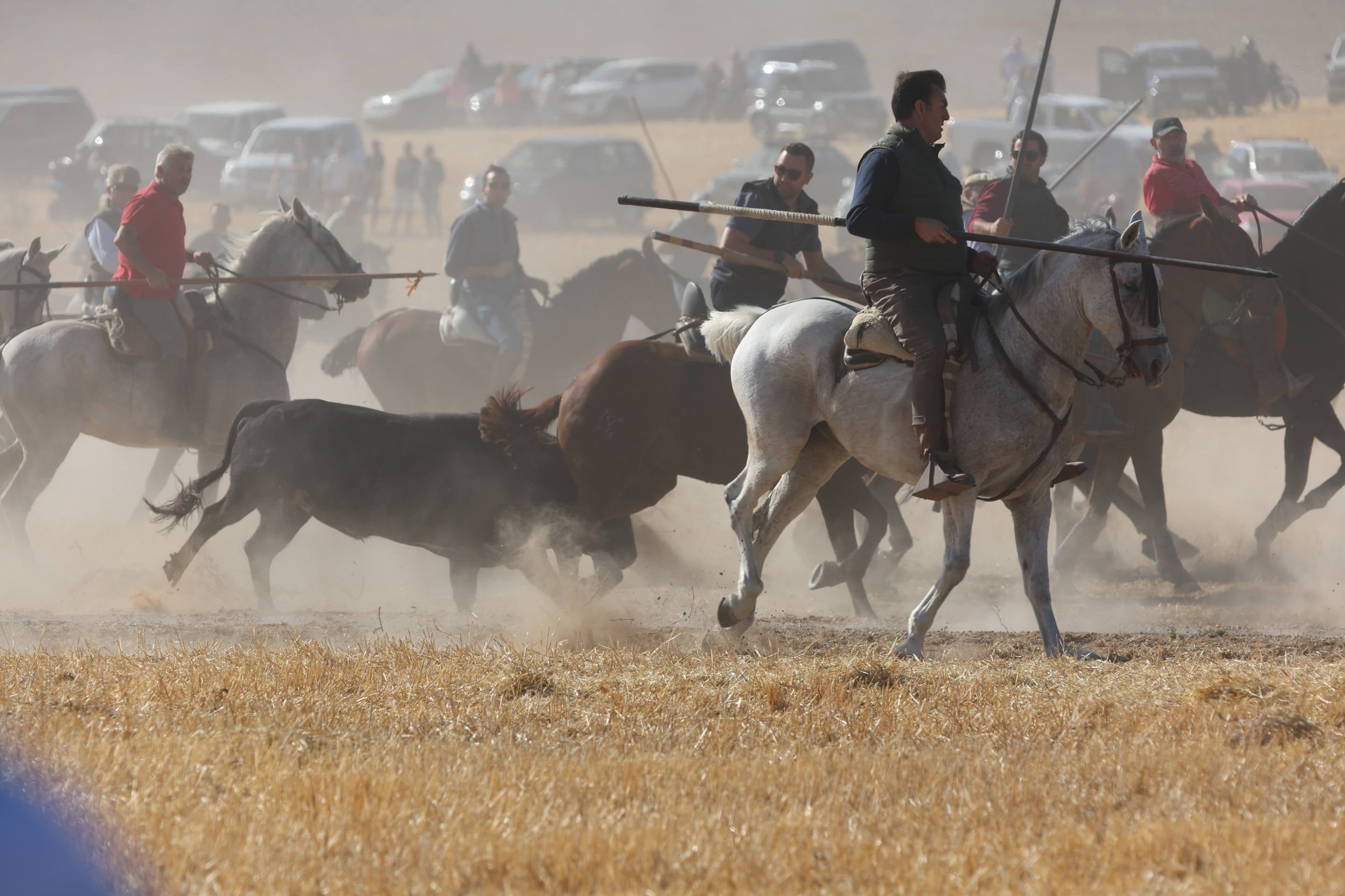 El encierro mixto en Mojados, en imágenes