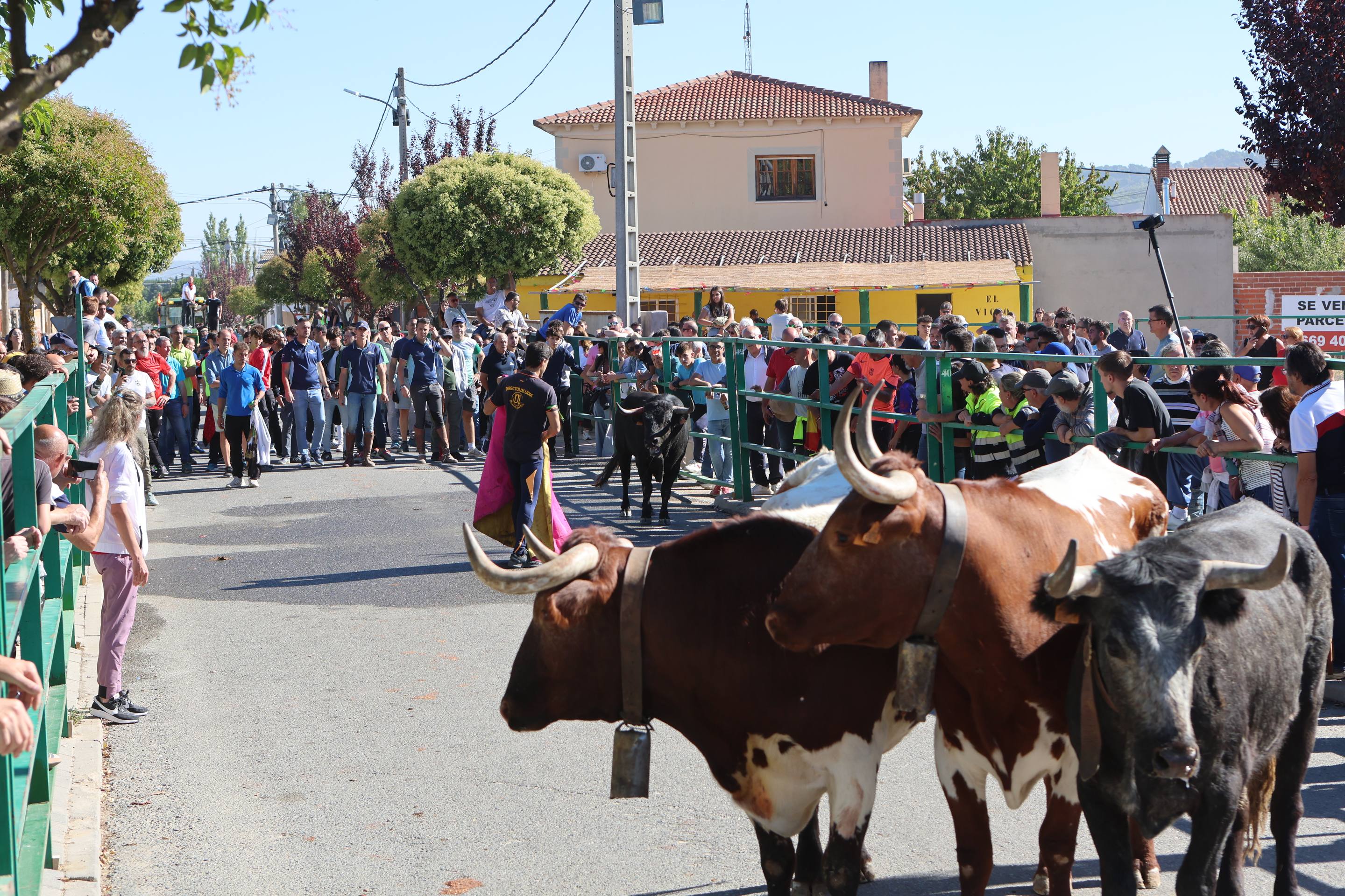 El encierro mixto en Mojados, en imágenes
