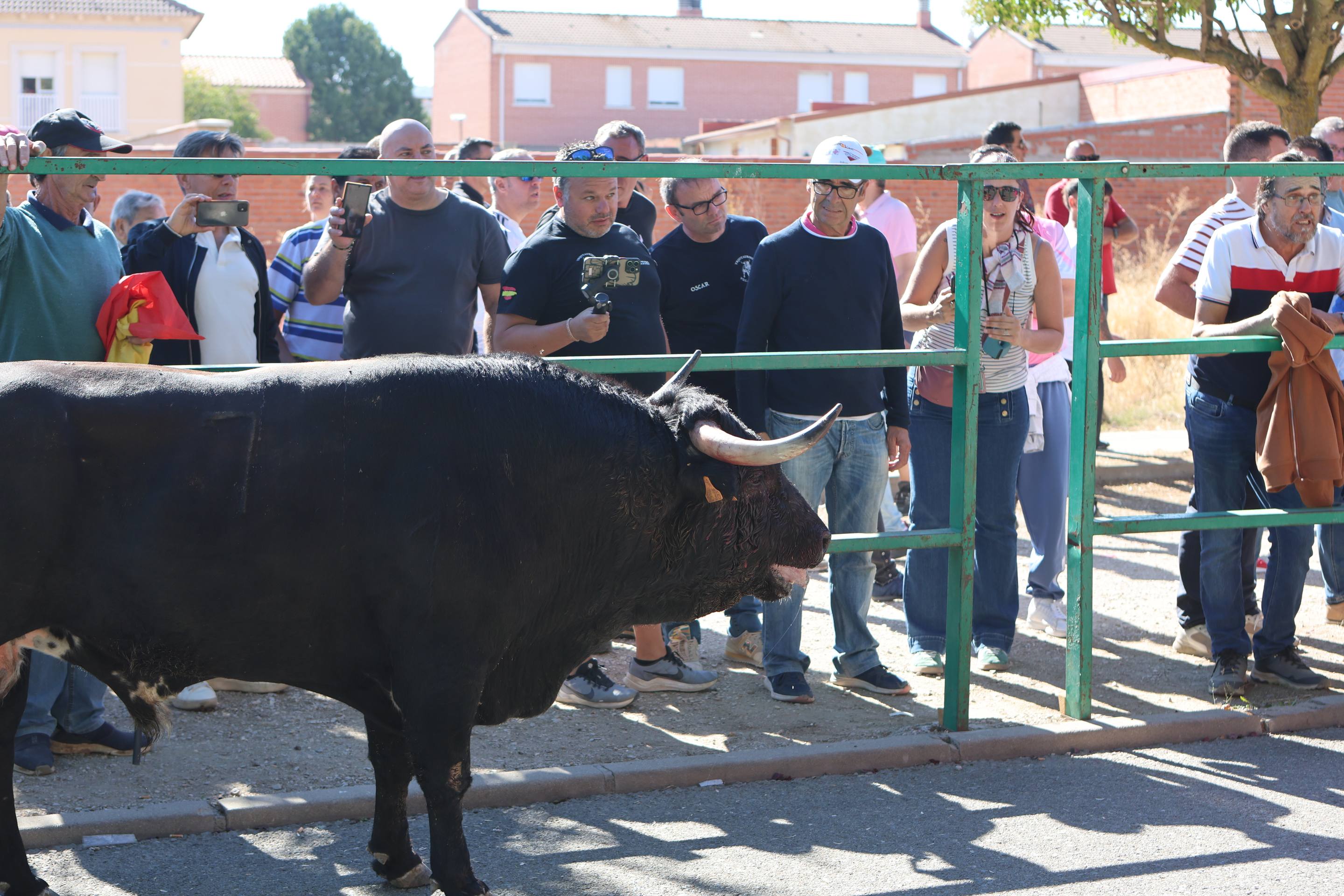 El encierro mixto en Mojados, en imágenes