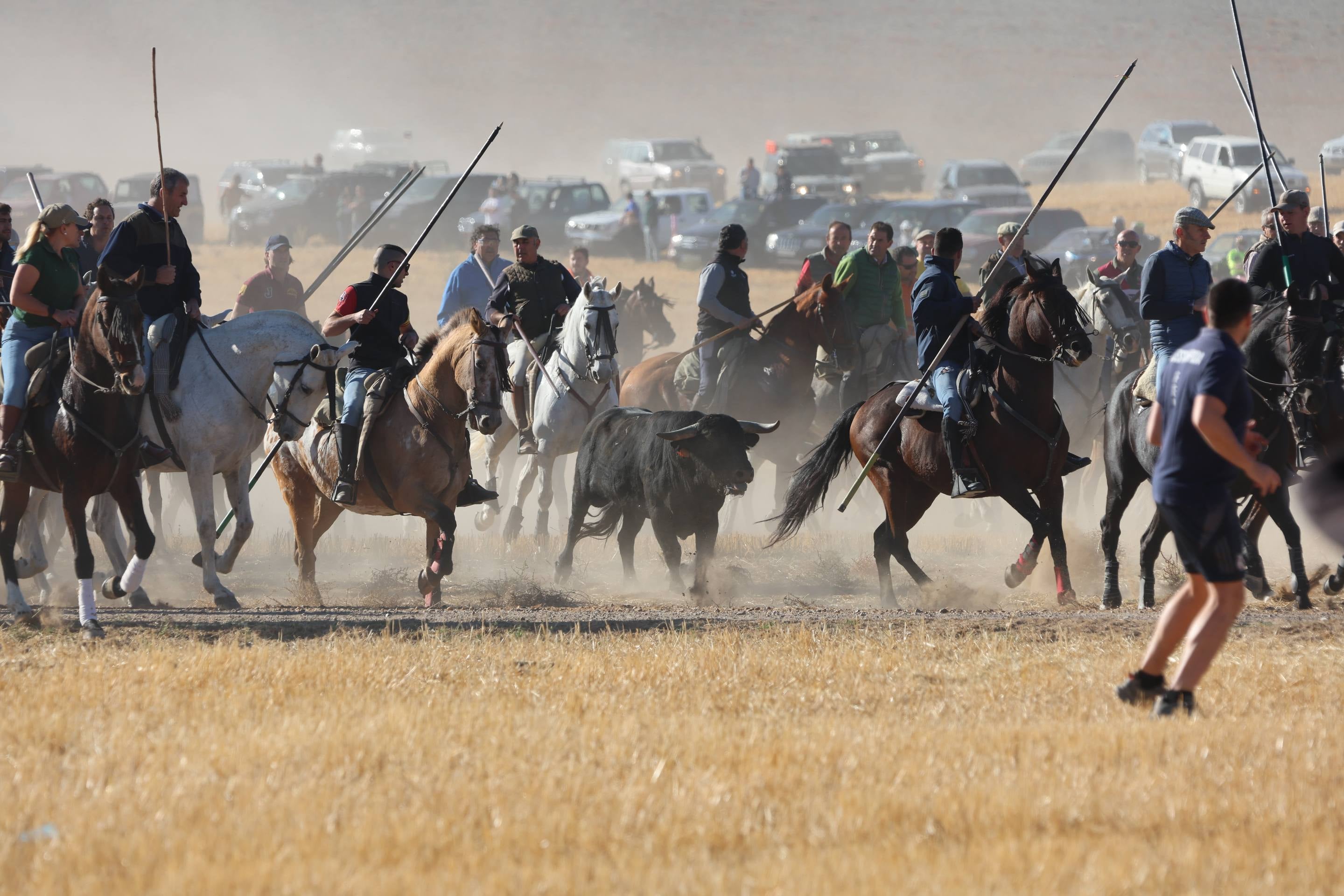 El encierro mixto en Mojados, en imágenes