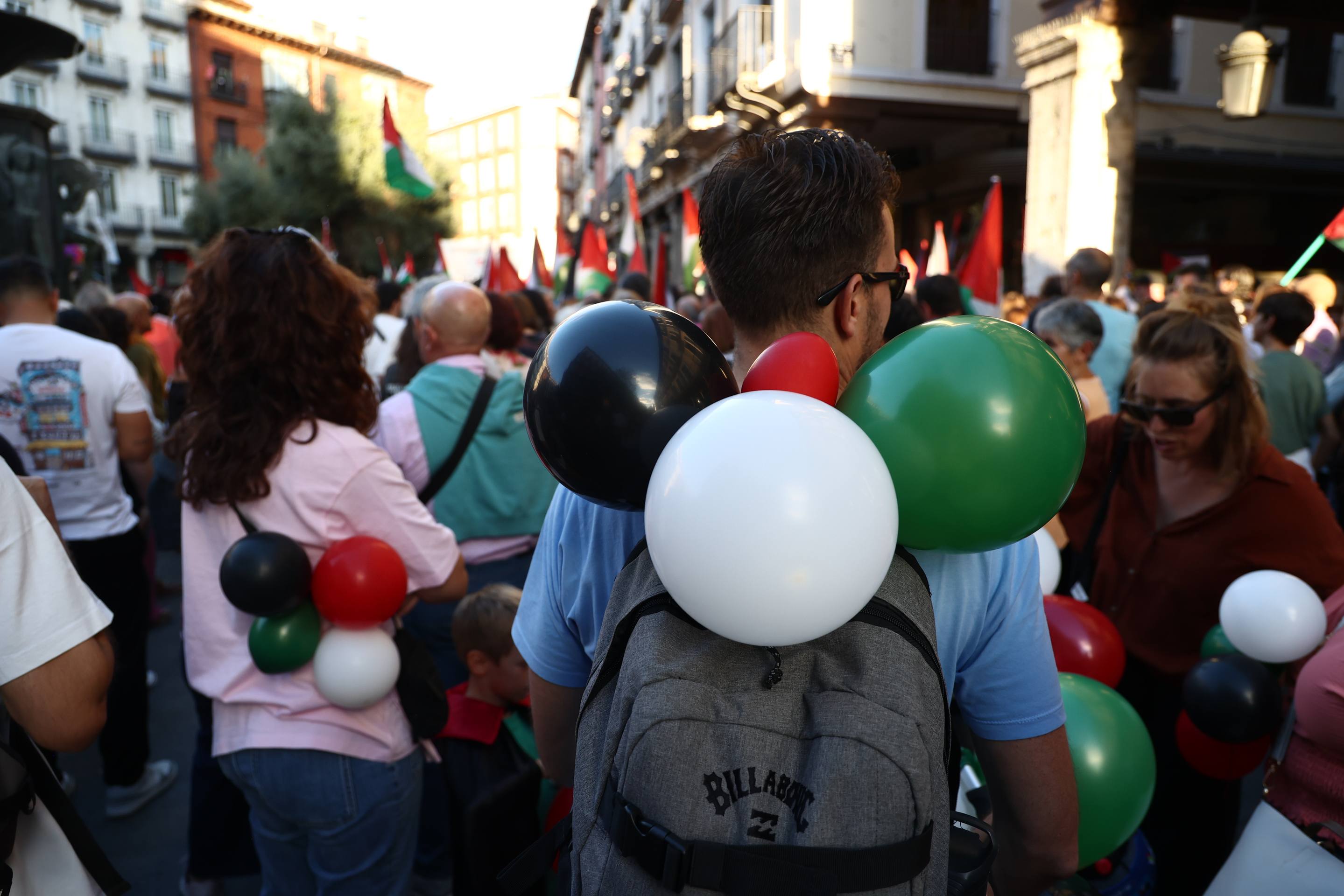 Las imágenes del manifestación propalestina en Valladolid