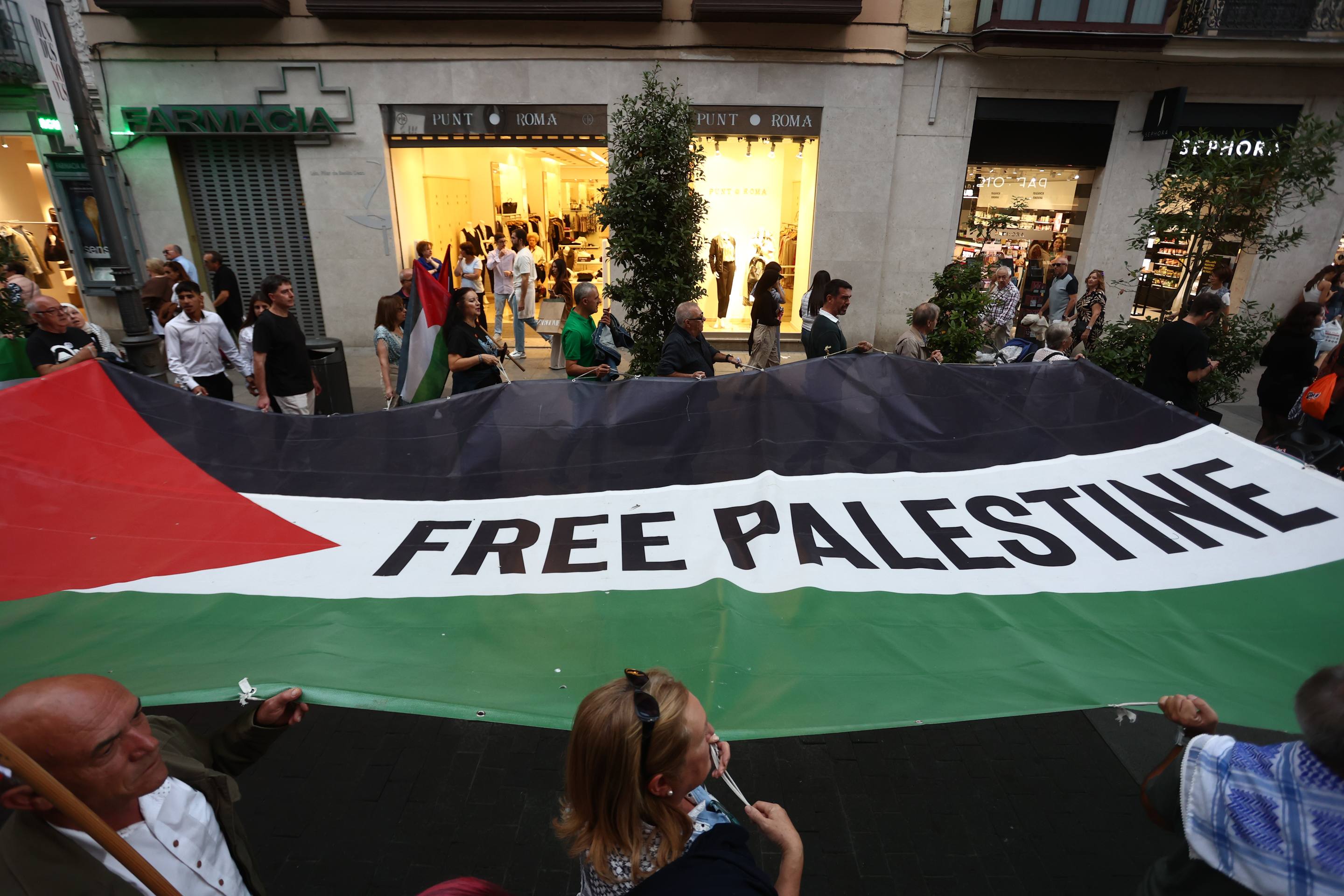 Las imágenes del manifestación propalestina en Valladolid