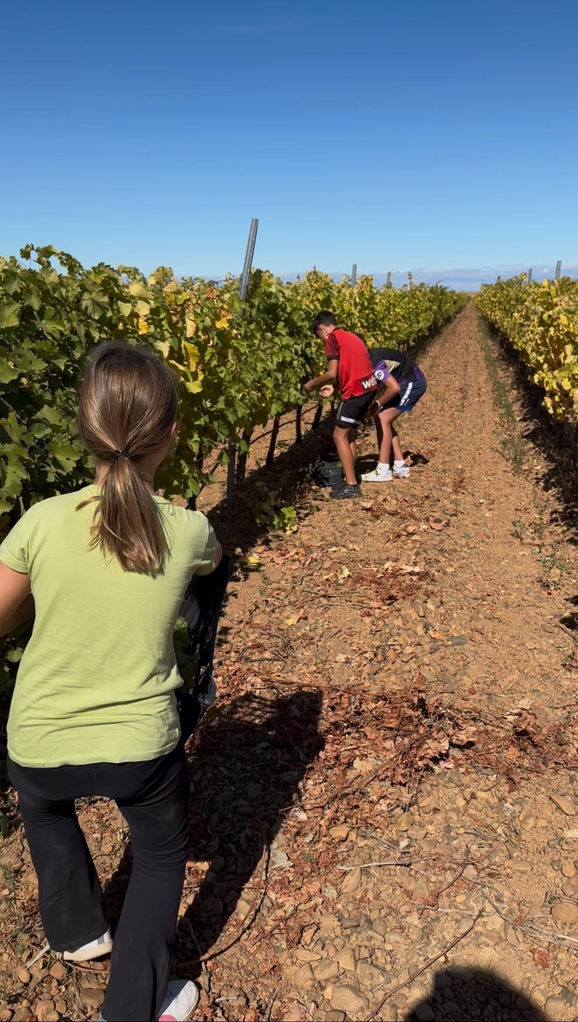 Melgar de Abajo celebra la XVI Fiesta de la Vendimia