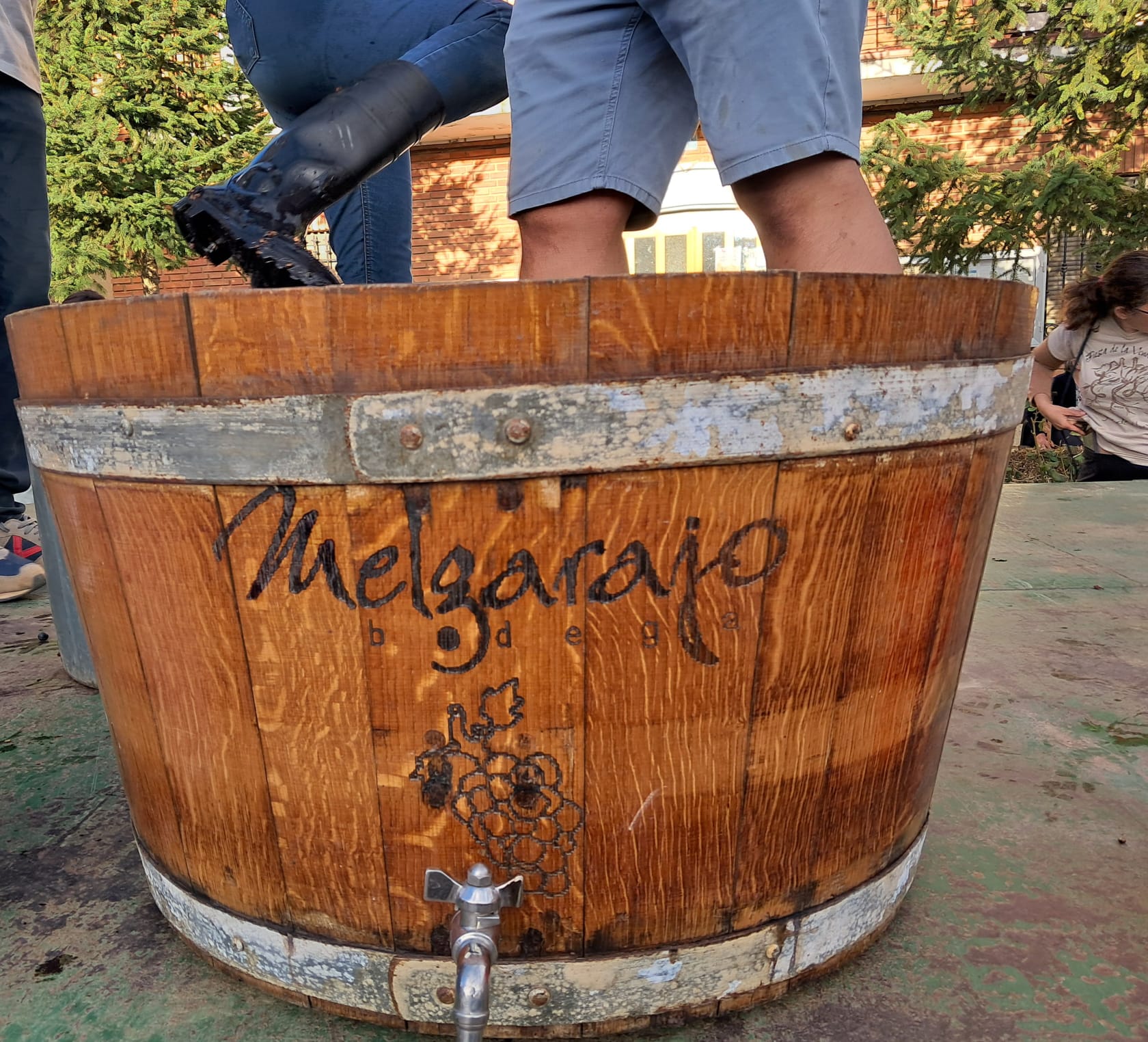 Melgar de Abajo celebra la XVI Fiesta de la Vendimia