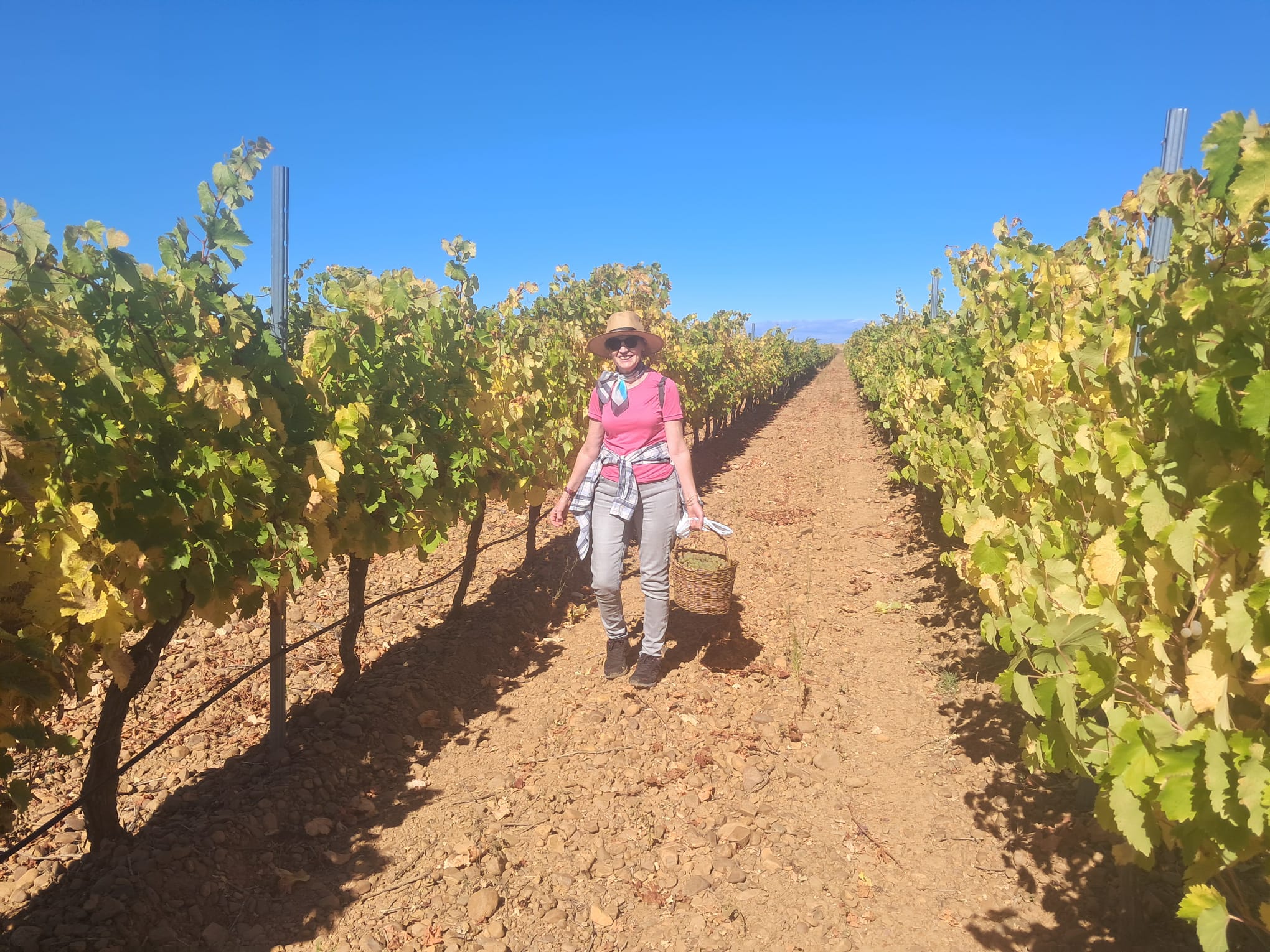 Melgar de Abajo celebra la XVI Fiesta de la Vendimia