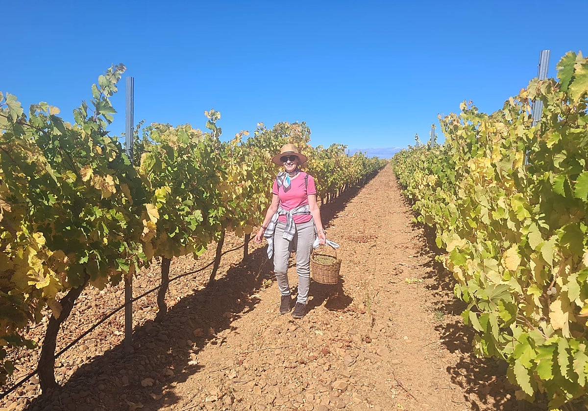 Melgar de Abajo celebra la XVI Fiesta de la Vendimia
