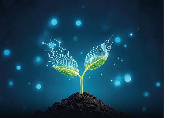 Imagen utilizada en la promoción del evento.