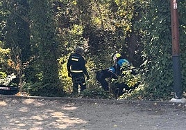 Bomberos y Policía Local trabajan para rescatar a la mujer del río en Aranda.