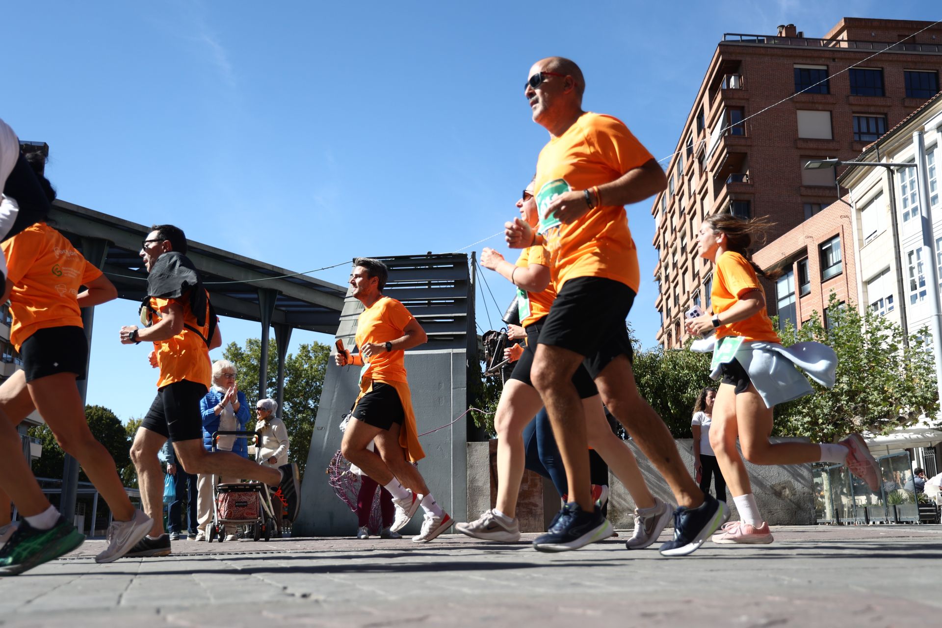 Las imágenes de la carrera contra el cáncer de Palencia