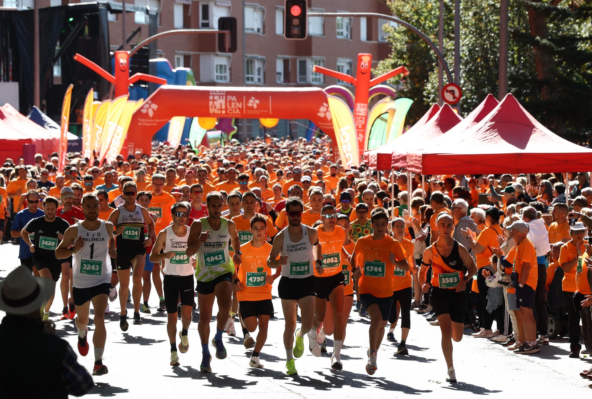 Las imágenes de la carrera contra el cáncer de Palencia