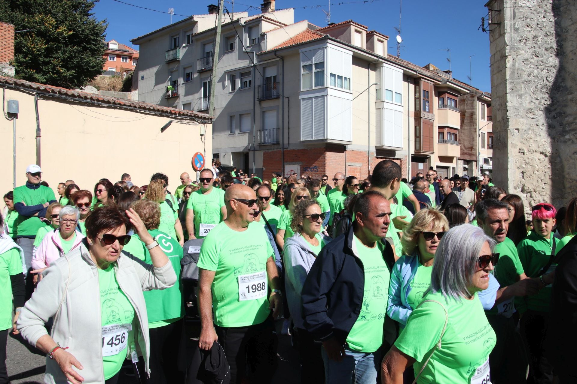 Fotografías de la marcha contra el cáncer en Cuéllar