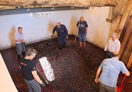 Un grupo de voluntarios pisa la uva en Baltanás.