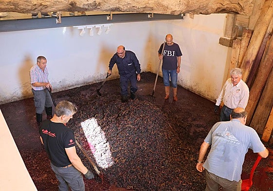 Un grupo de voluntarios pisa la uva en Baltanás.