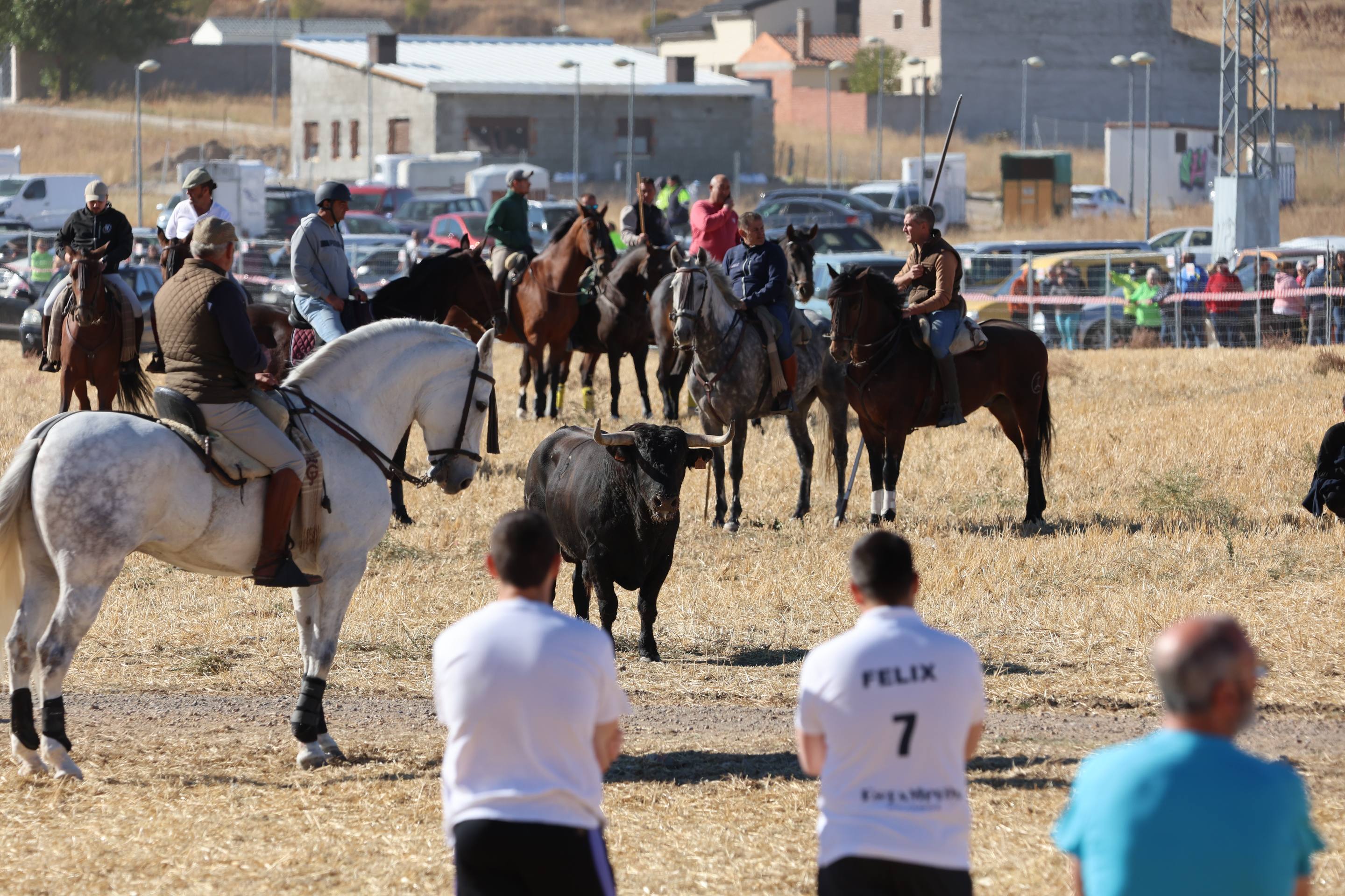 El encierro de este domingo en Mojados, en imágenes