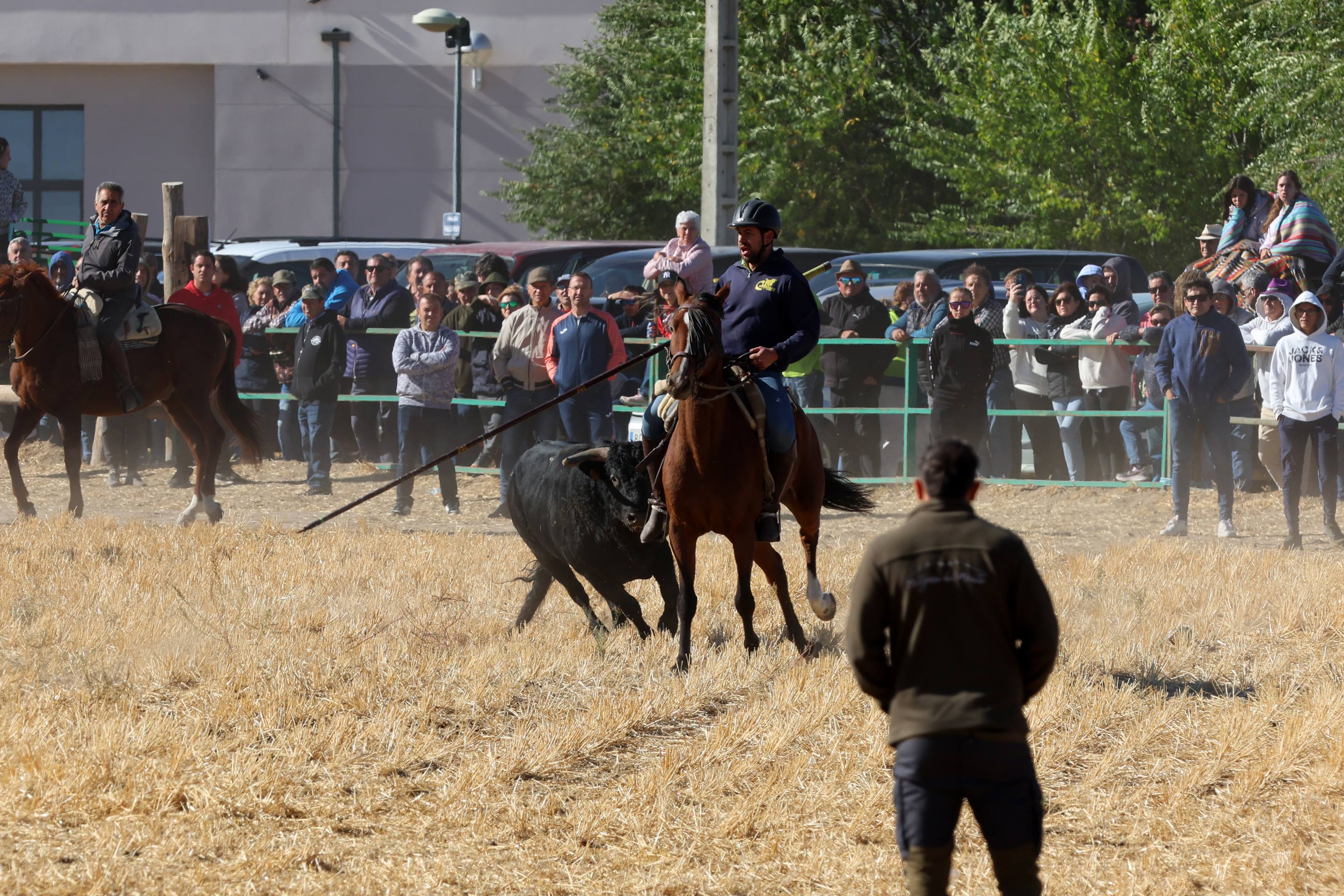 El encierro de este domingo en Mojados, en imágenes