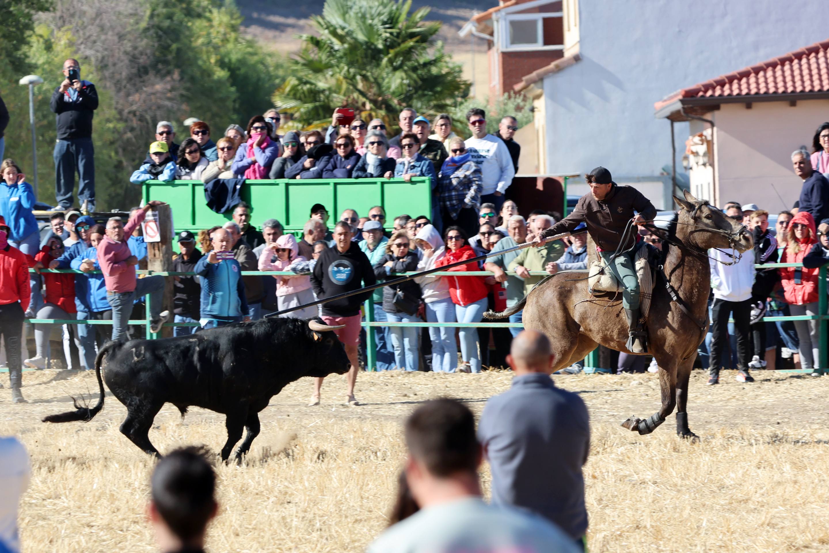 El encierro de este domingo en Mojados, en imágenes