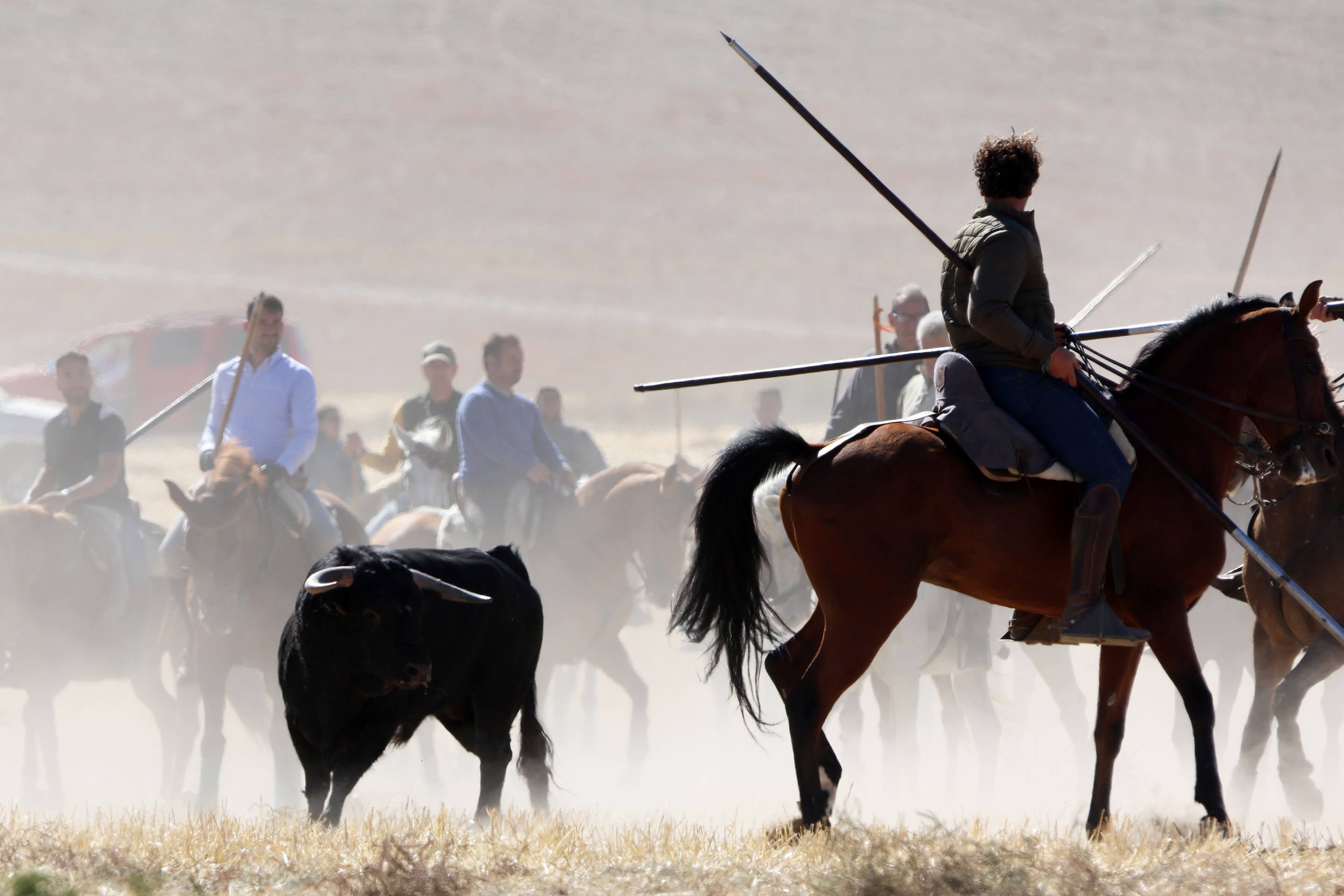 El encierro de este domingo en Mojados, en imágenes