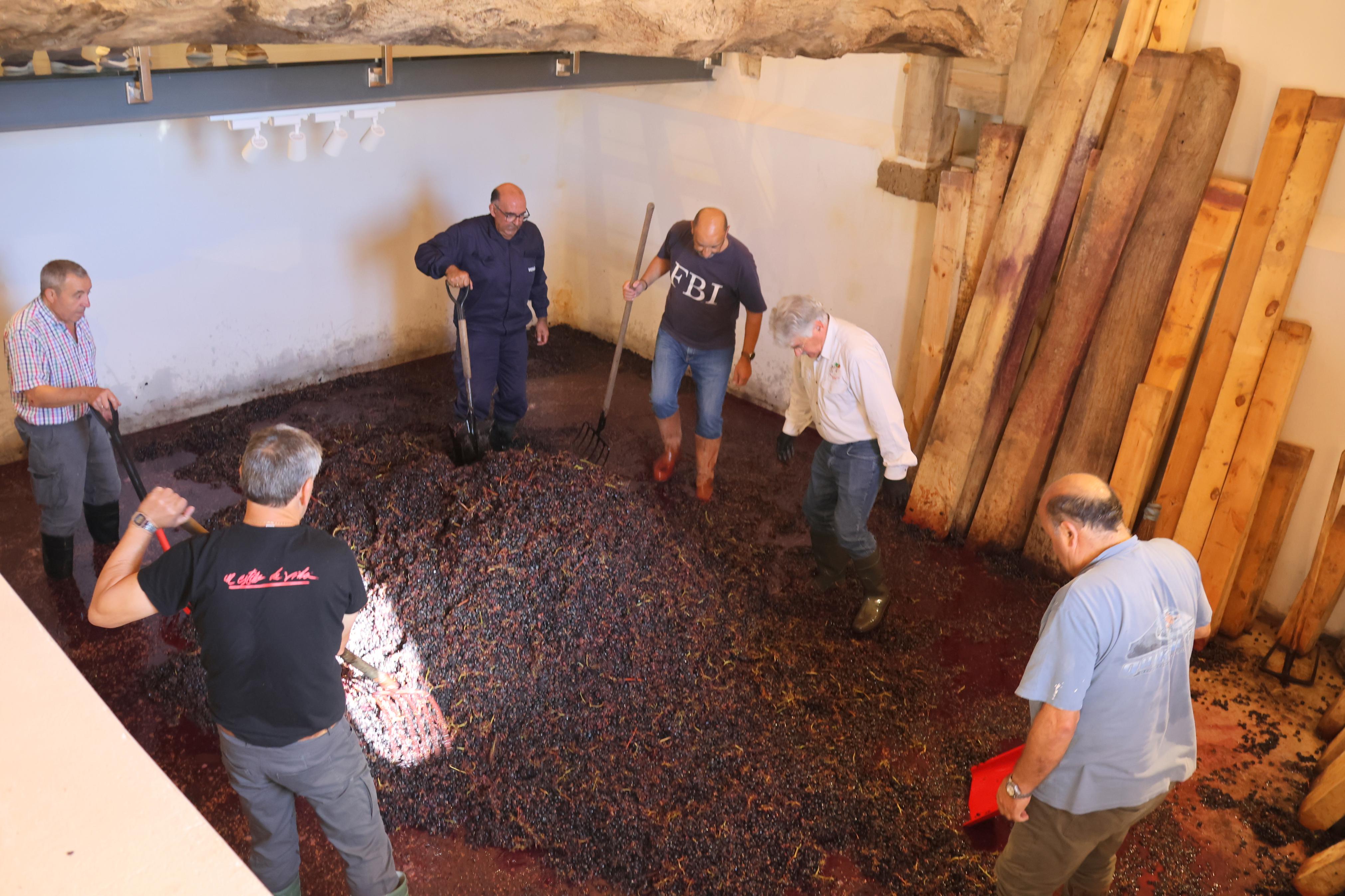 V Jornada &#039;De Lagares&#039; en Baltanás