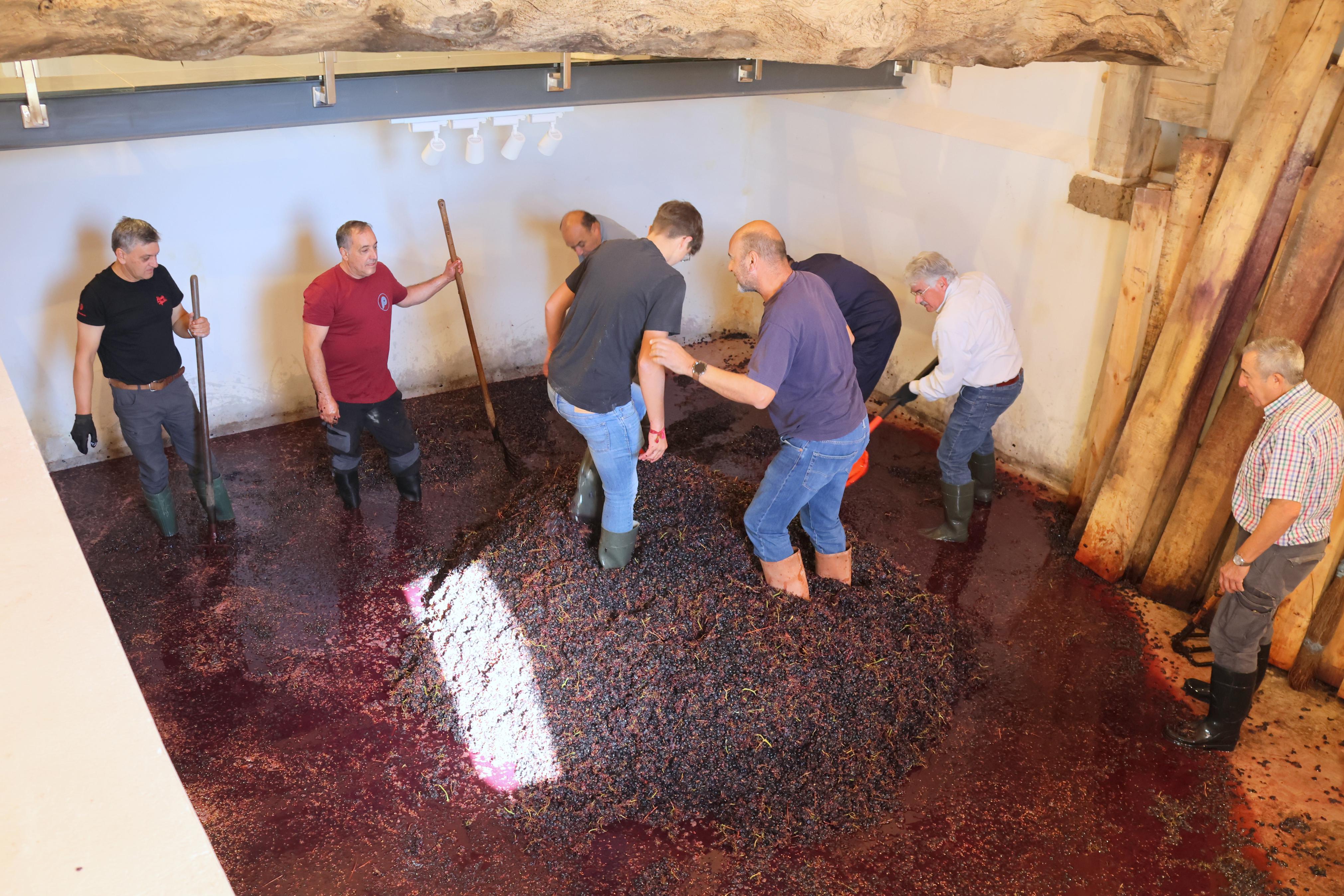 V Jornada &#039;De Lagares&#039; en Baltanás