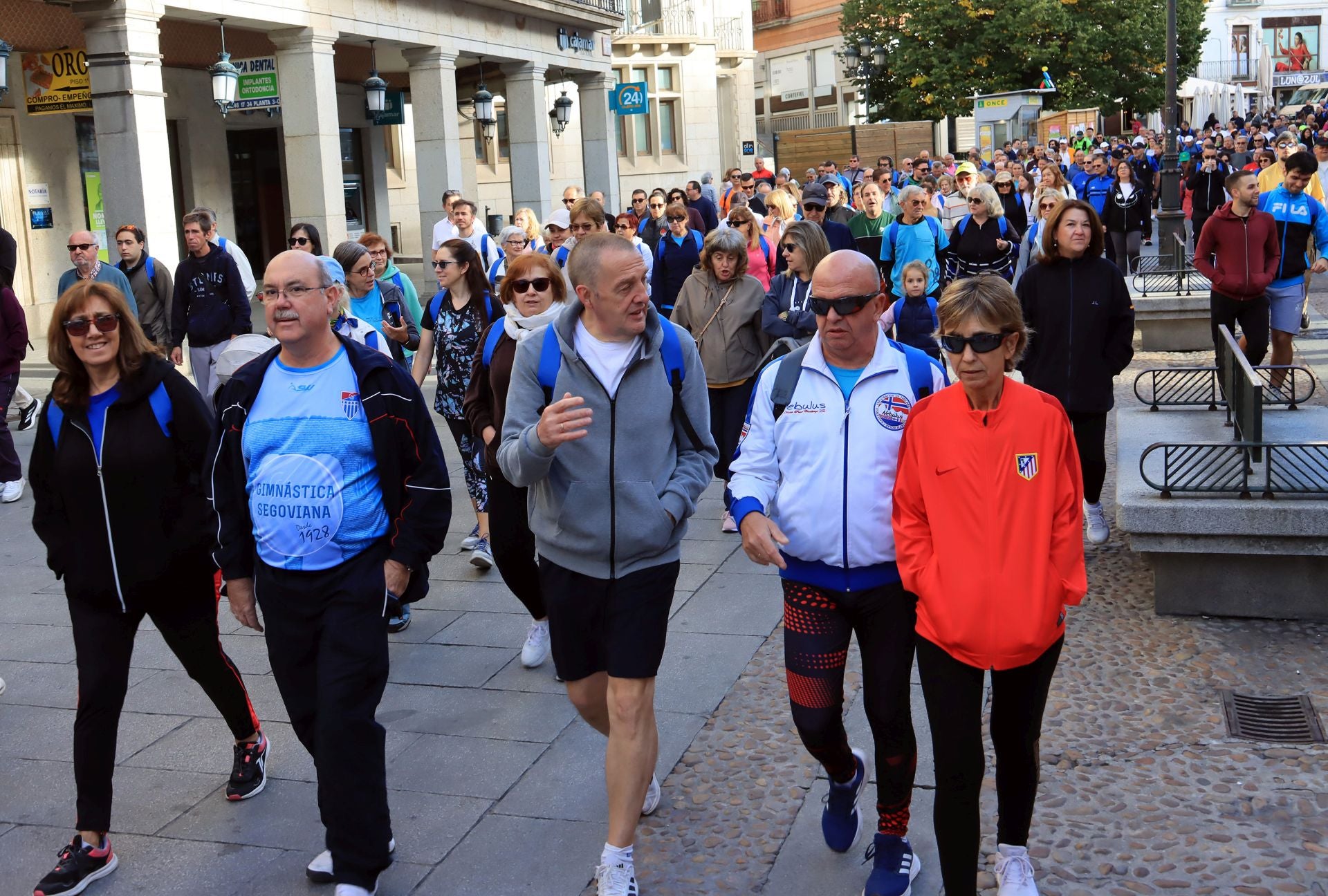 La marcha Apadefim en Segovia, en imágenes